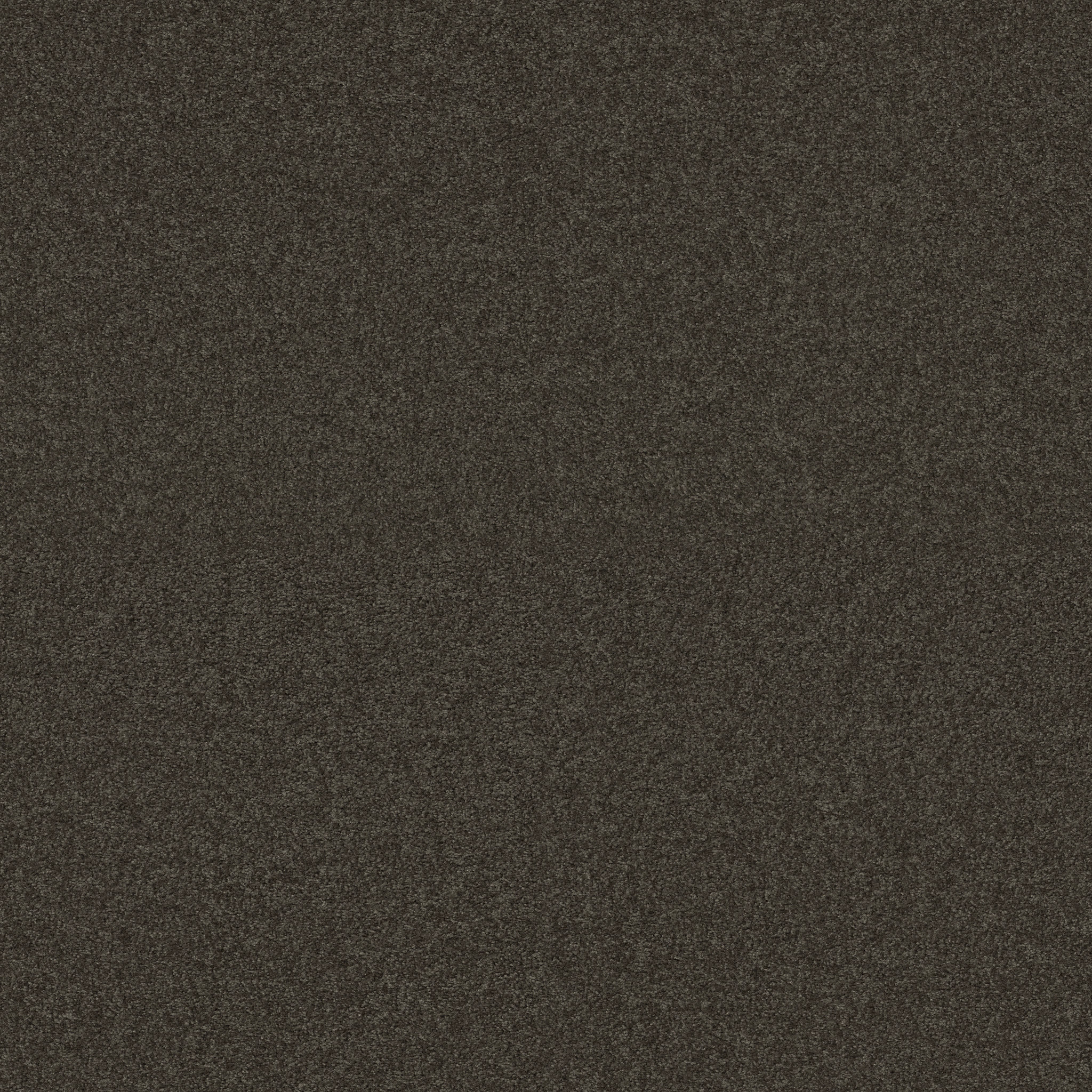 MOMENT OF TRUTH CABOT TRAIL MAIN