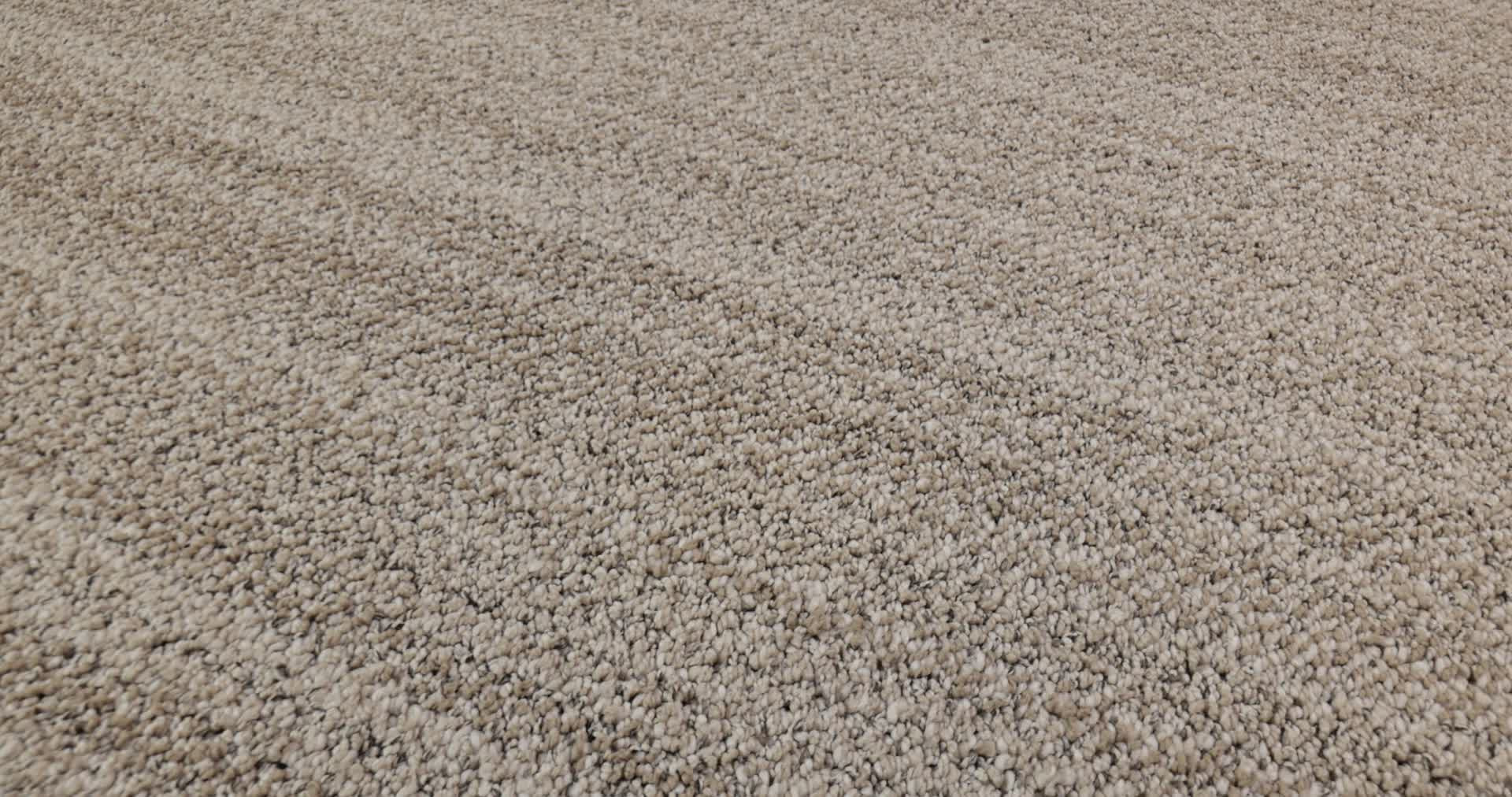 IN TEMPO CANVAS 360PROD