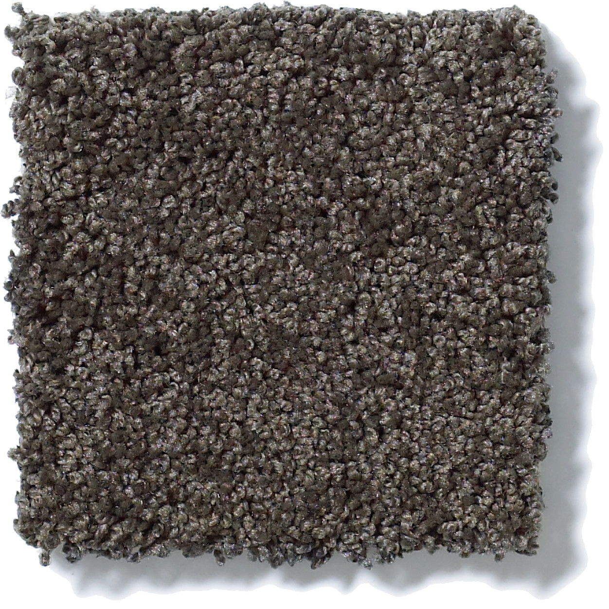 MY DESTINATION II VINTAGE LEATHER SWATCH