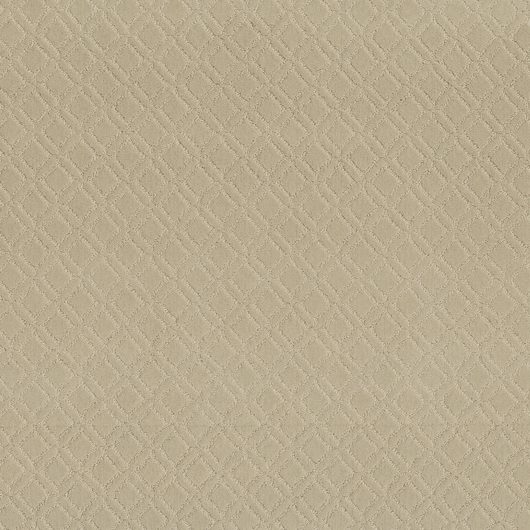 MUSE MORNING LIGHT MAIN