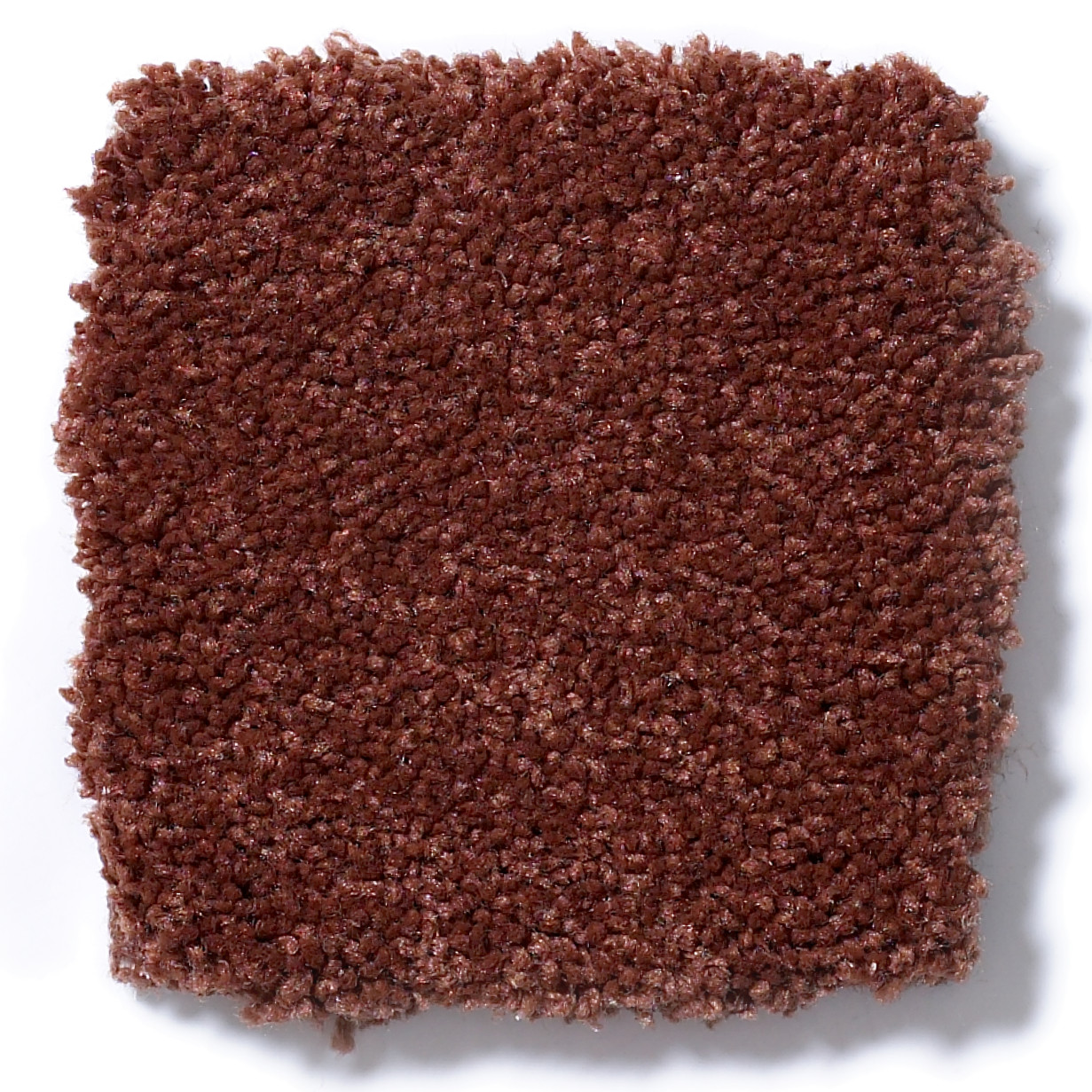 MAGIC AT LAST IV 12 SPICE SWATCH