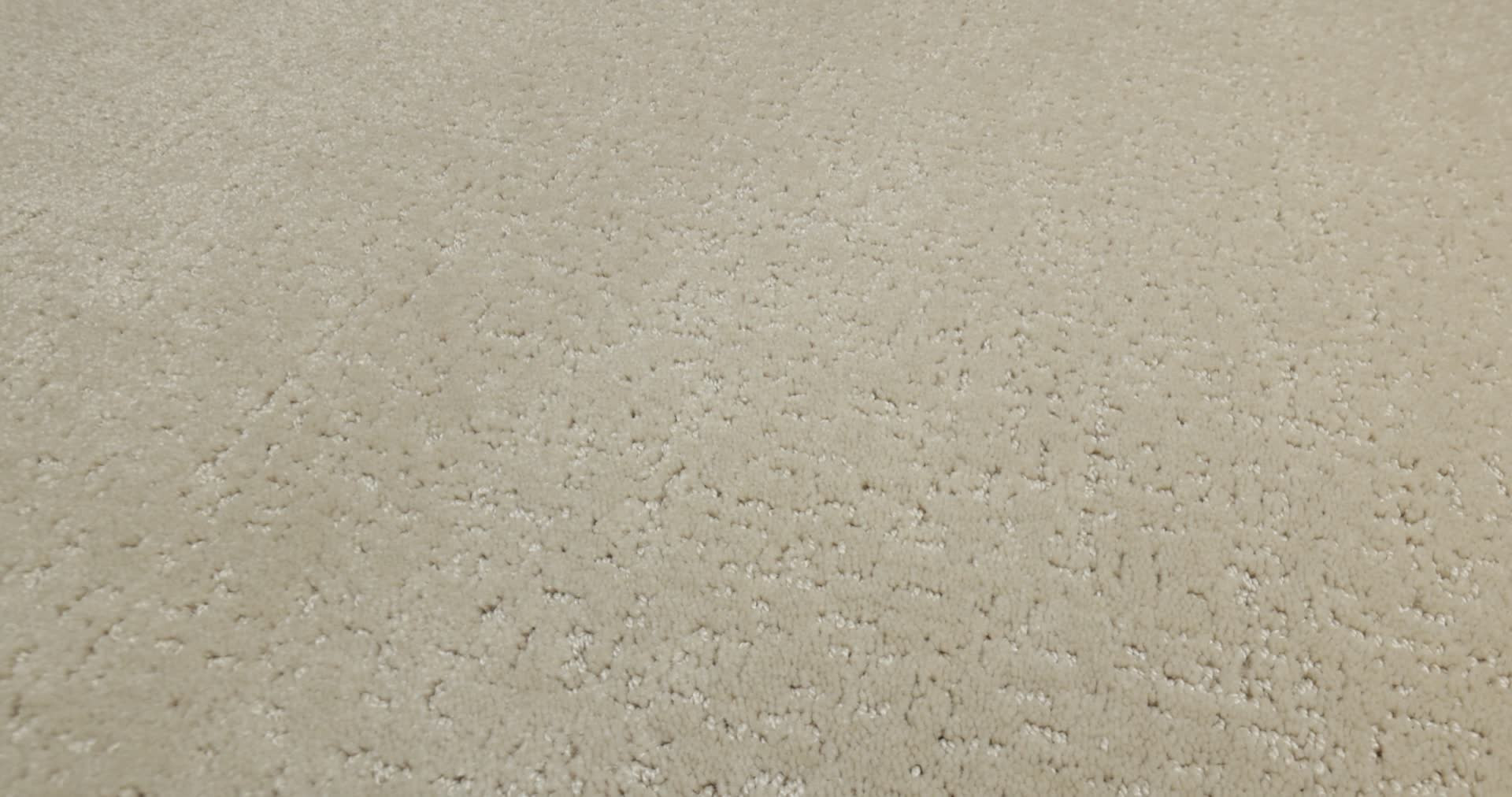 CANVAS COMFORT BACK PATIO 360PROD