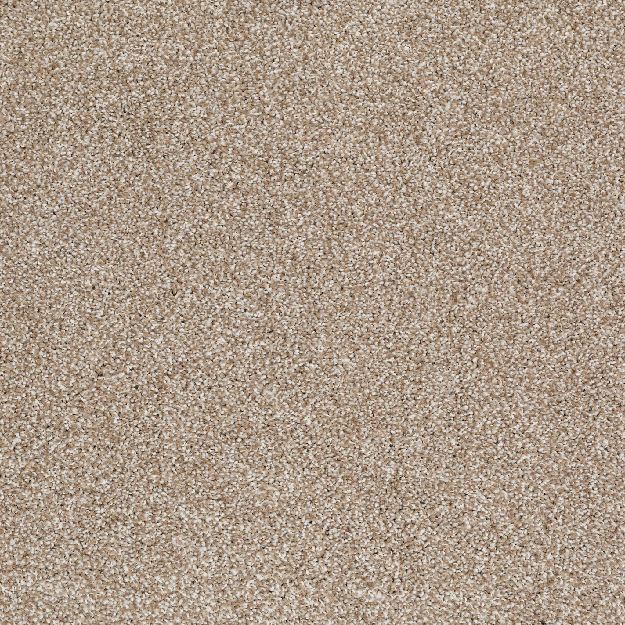 THAT'S RIGHT MOLE HILL MAIN