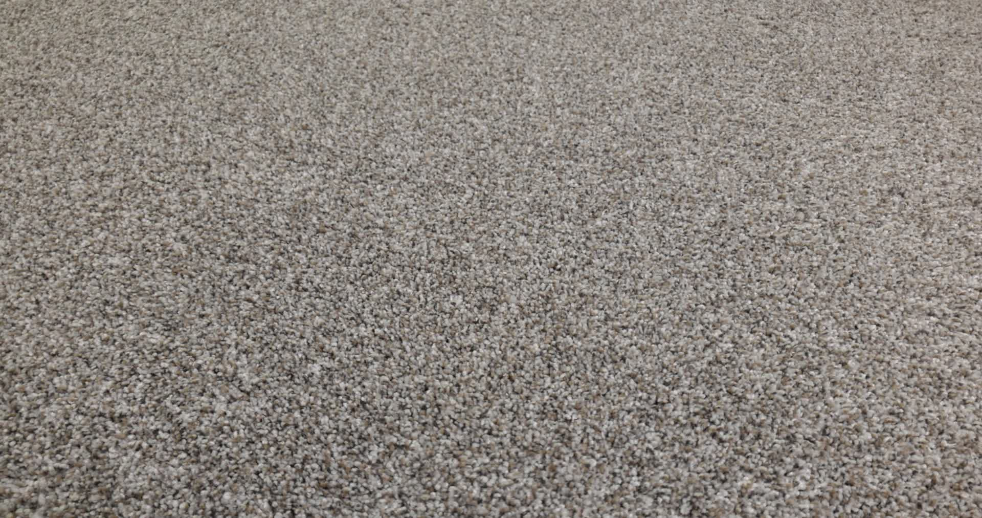 ELEVATED I RIVER ROCK 360PROD