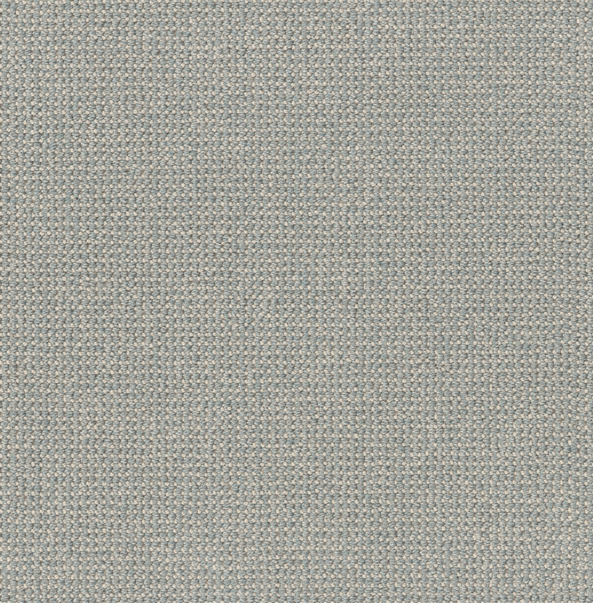 PURRFECTION SOLITUDE MAIN