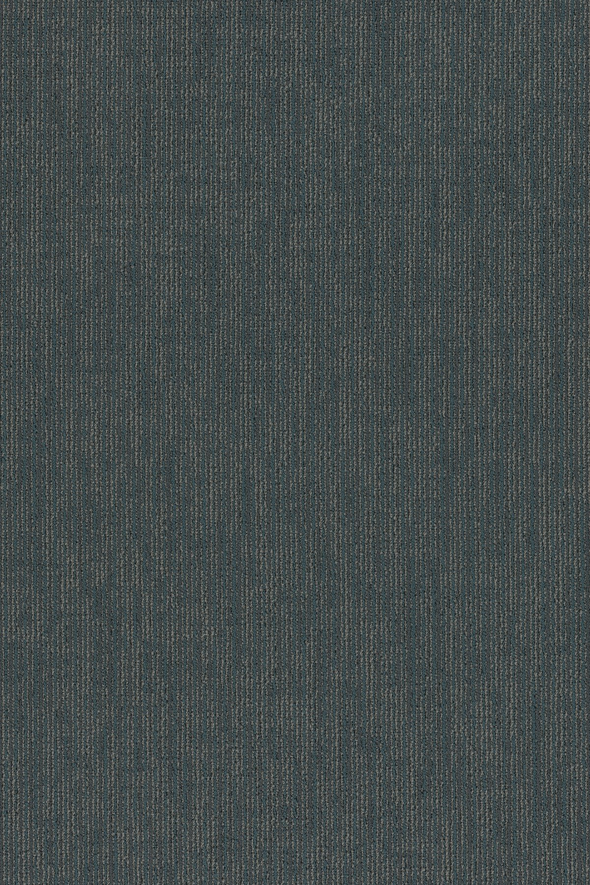 FUNCTION — COMPETITIVE