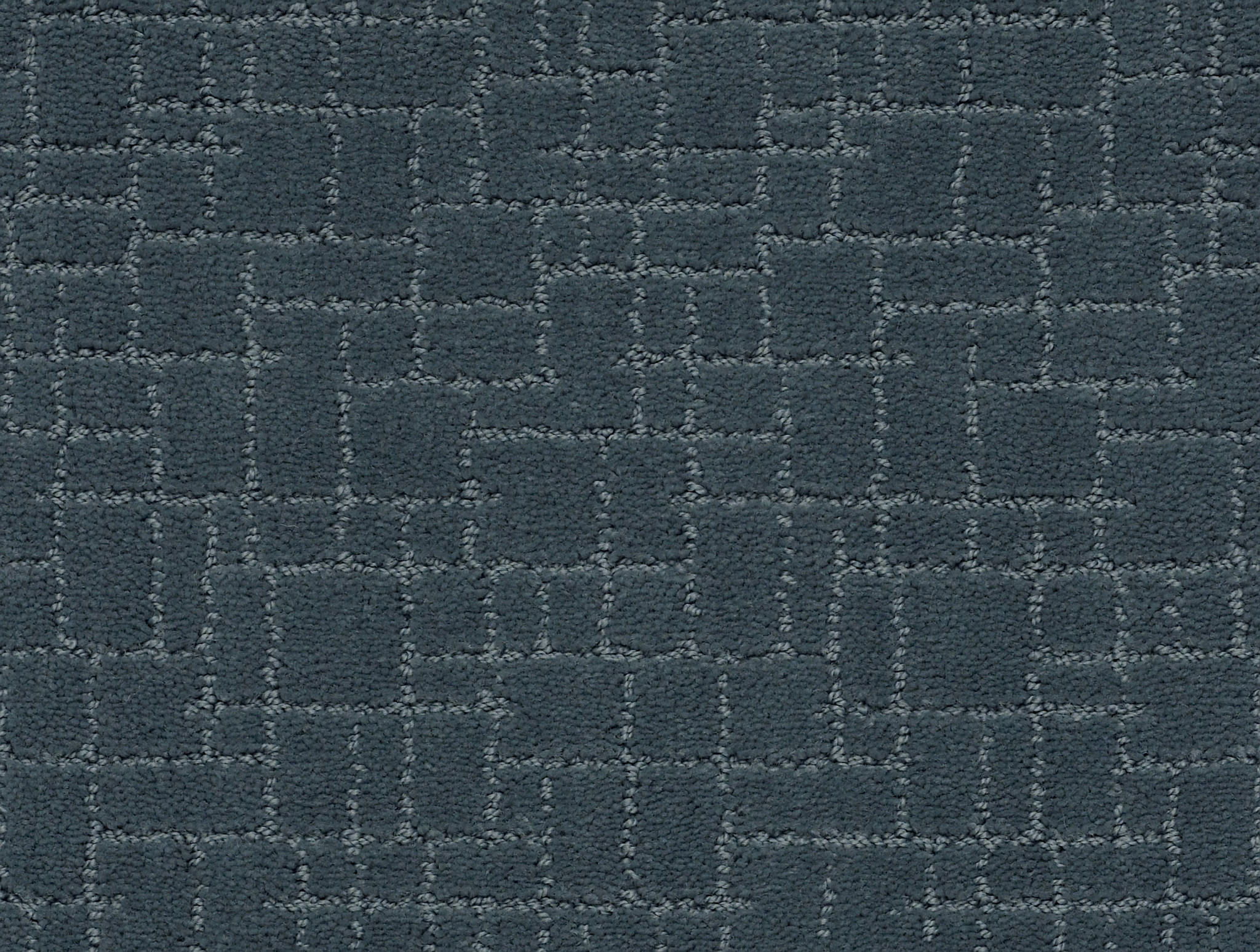 FAUX PAW NIMBUS MAIN