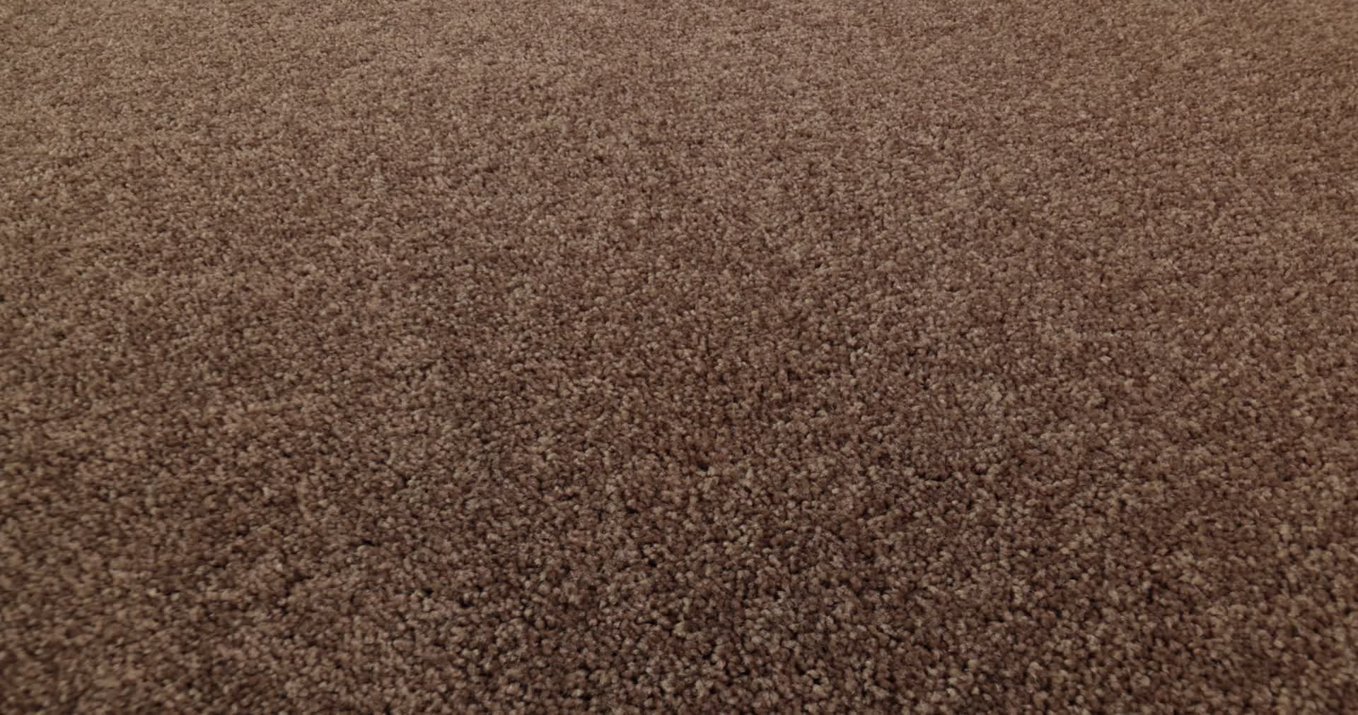 DYERSBURG CLASSIC 12' WINTER WHEAT 360PROD