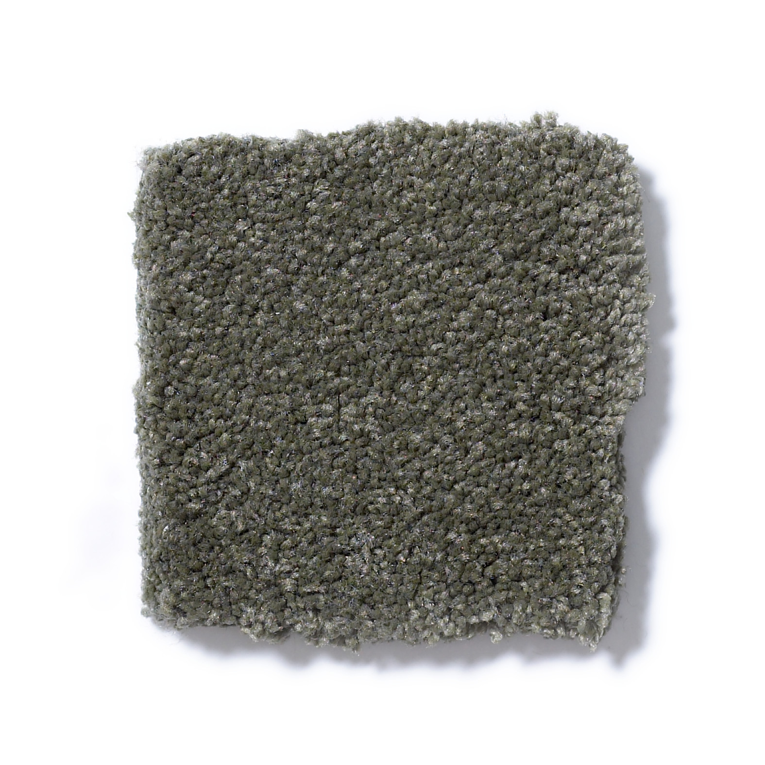 SHINGLE CREEK I 12 ALPINE FERN SWATCH