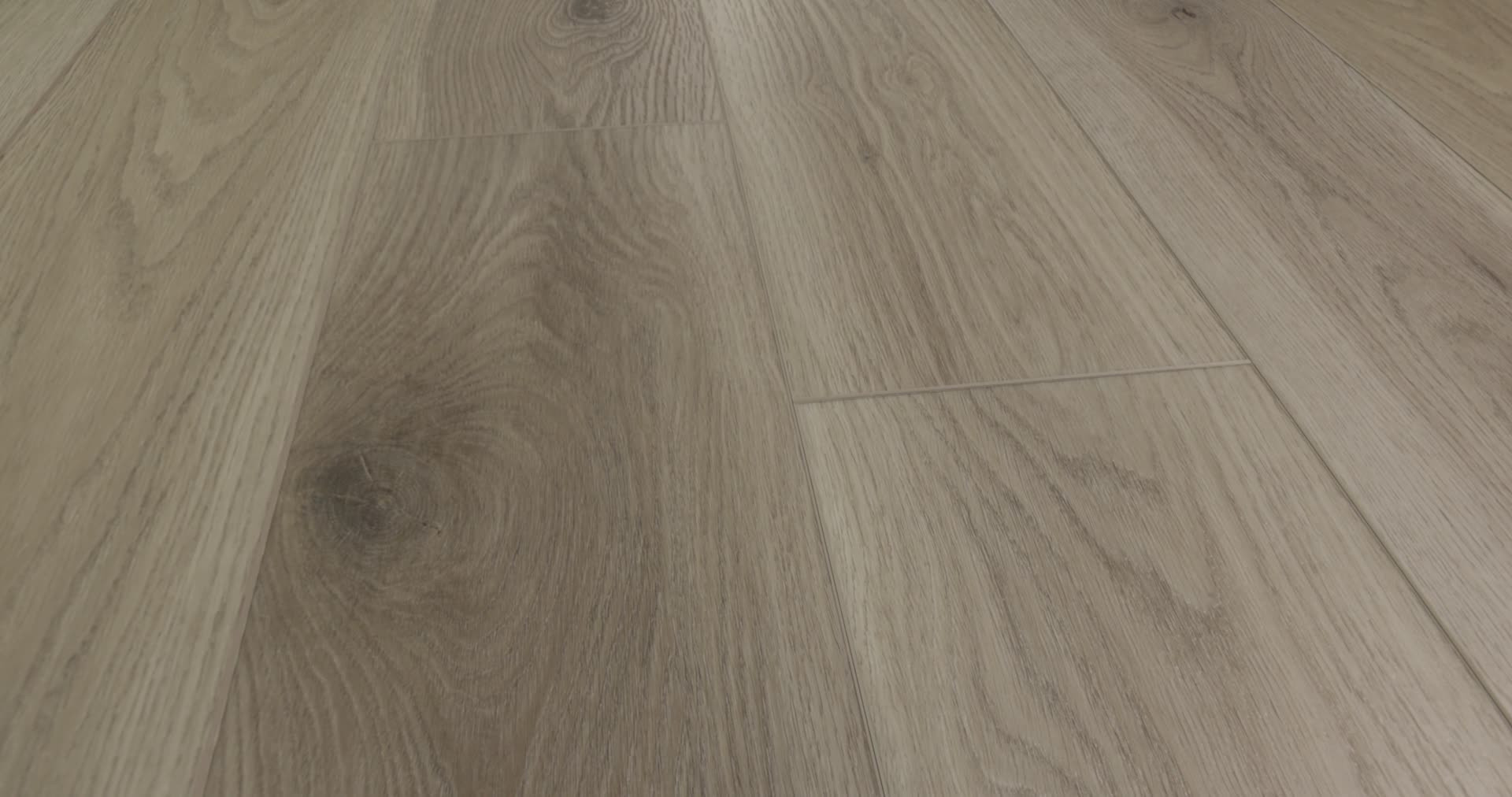 HOMEBOUND GENTLE FOG 360PROD