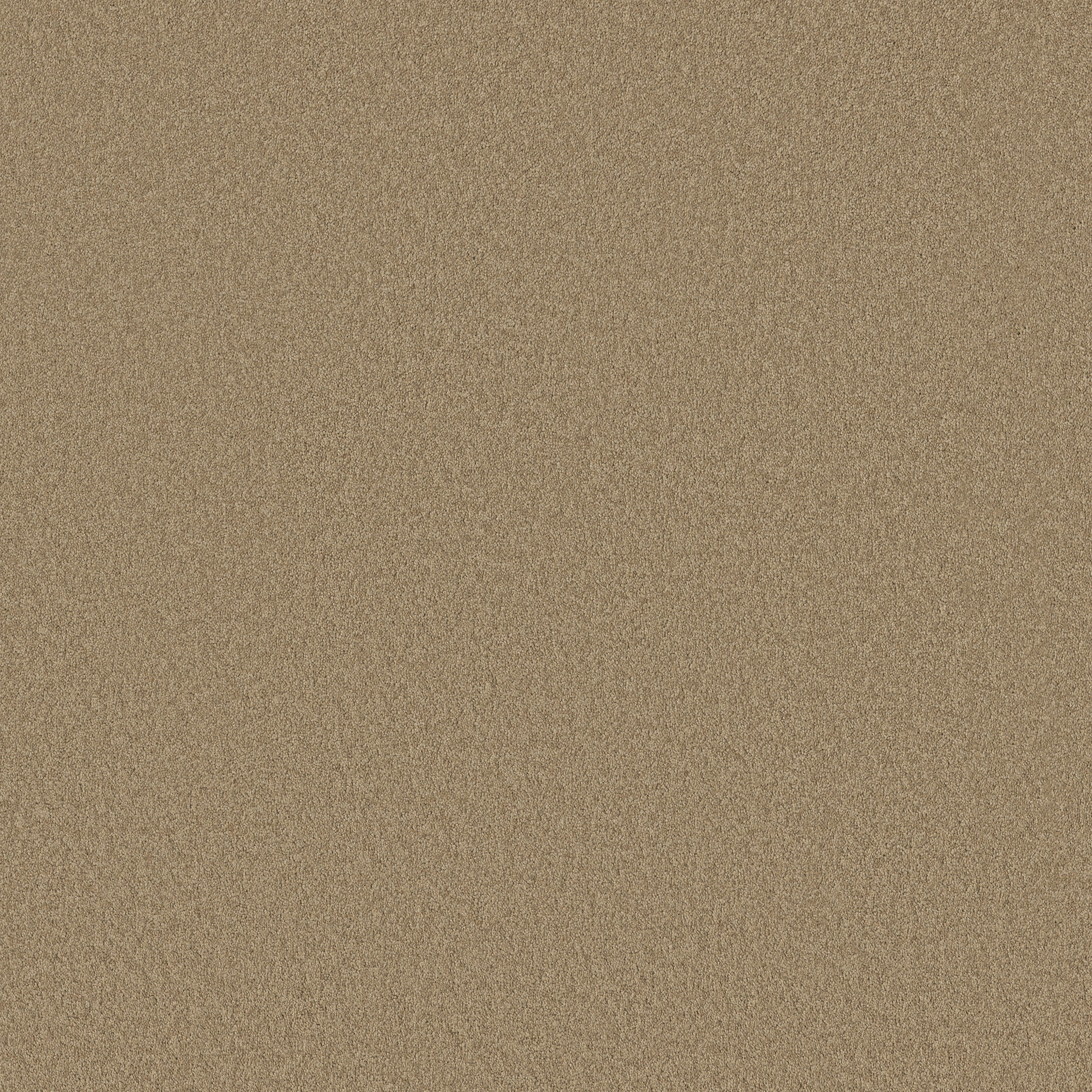 SANDY HOLLOW CLASSIC I 12' ADOBE MAIN