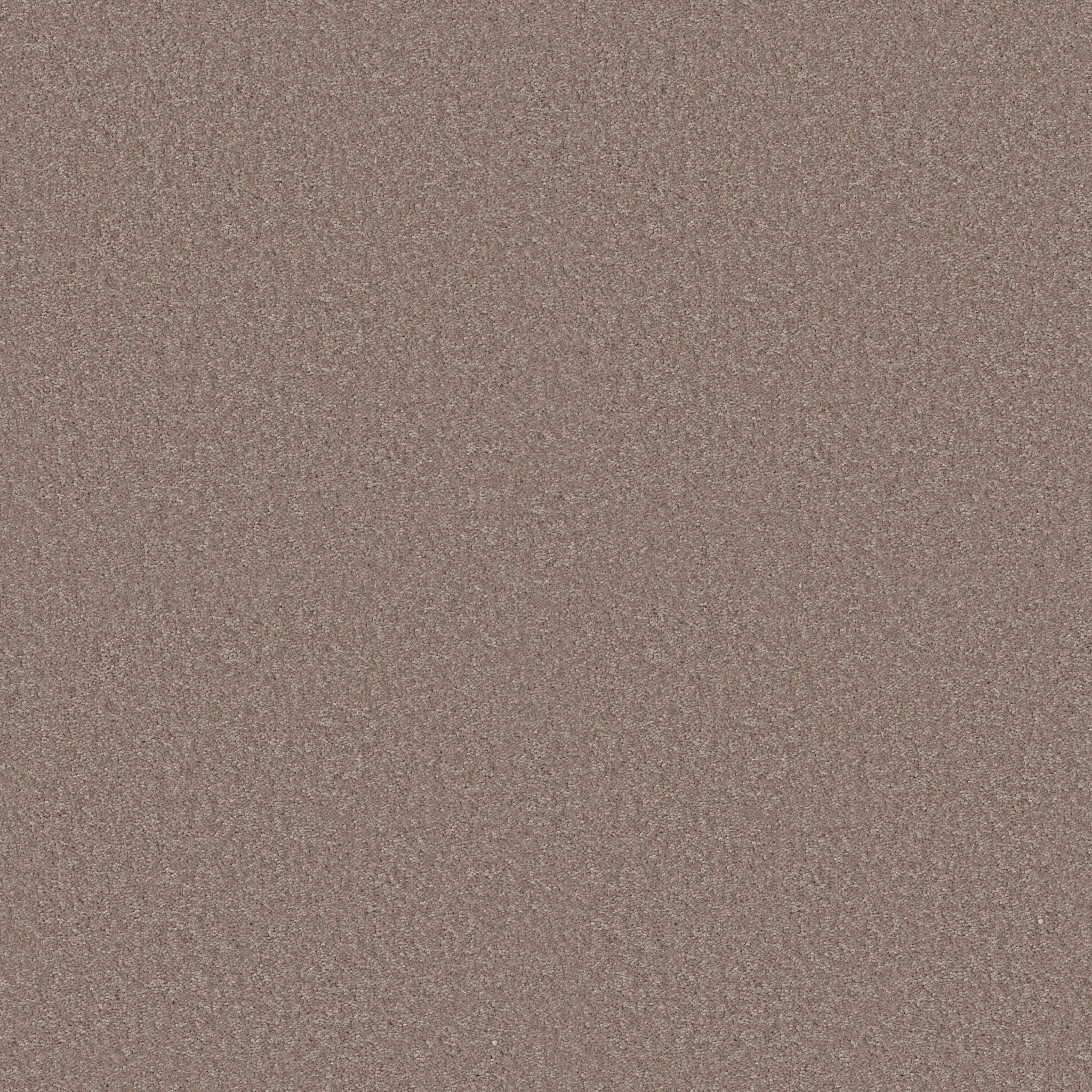 DYERSBURG CLASSIC 15' PLASTER MAIN