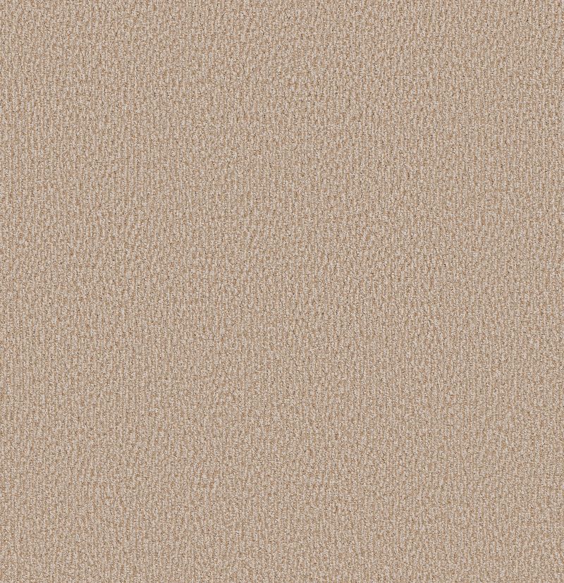 Fur Ever Broadloom Carpet in Old Country color, 100% nylon material, 12ft width, designed for residential use.