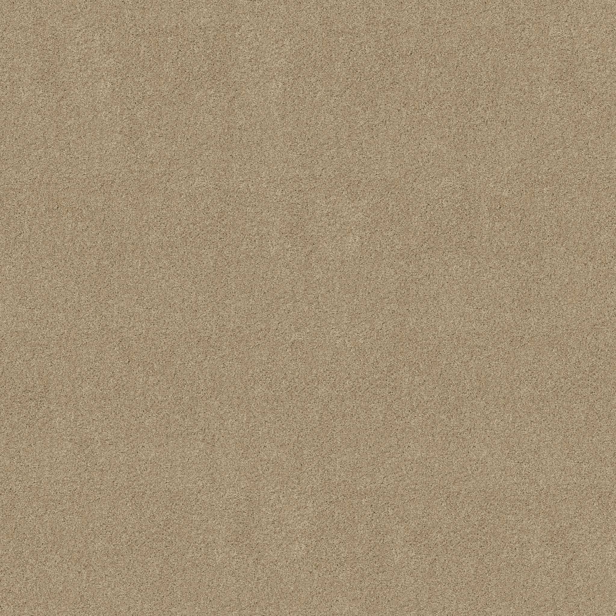 LOYAL BEAUTY III BEACH WALK MAIN