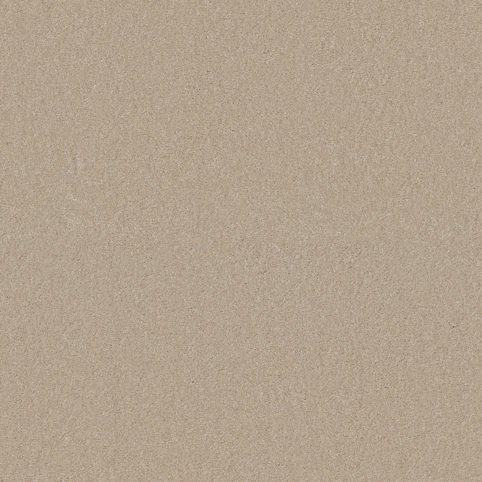 BEAUTIFULLY SIMPLE SANDY SHORE MAIN