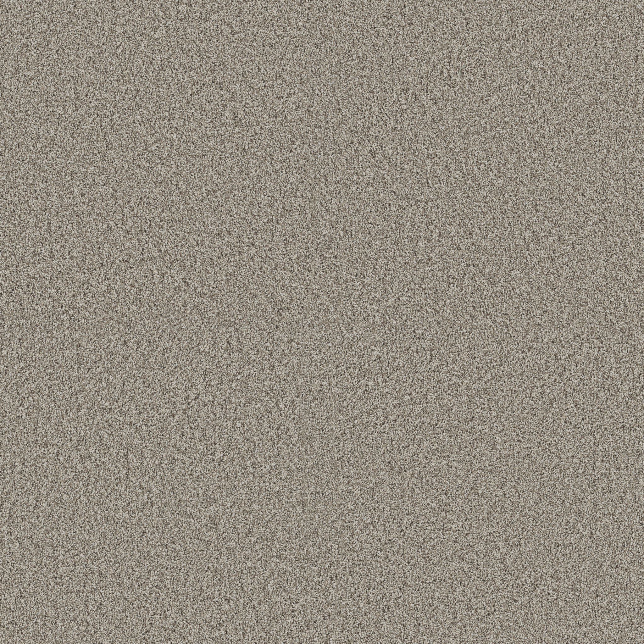 RENEWED ENERGY II LANDSCAPE MAIN