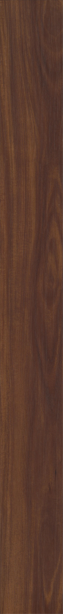 TRADITIONS RICH MAHOGANY 1TO1