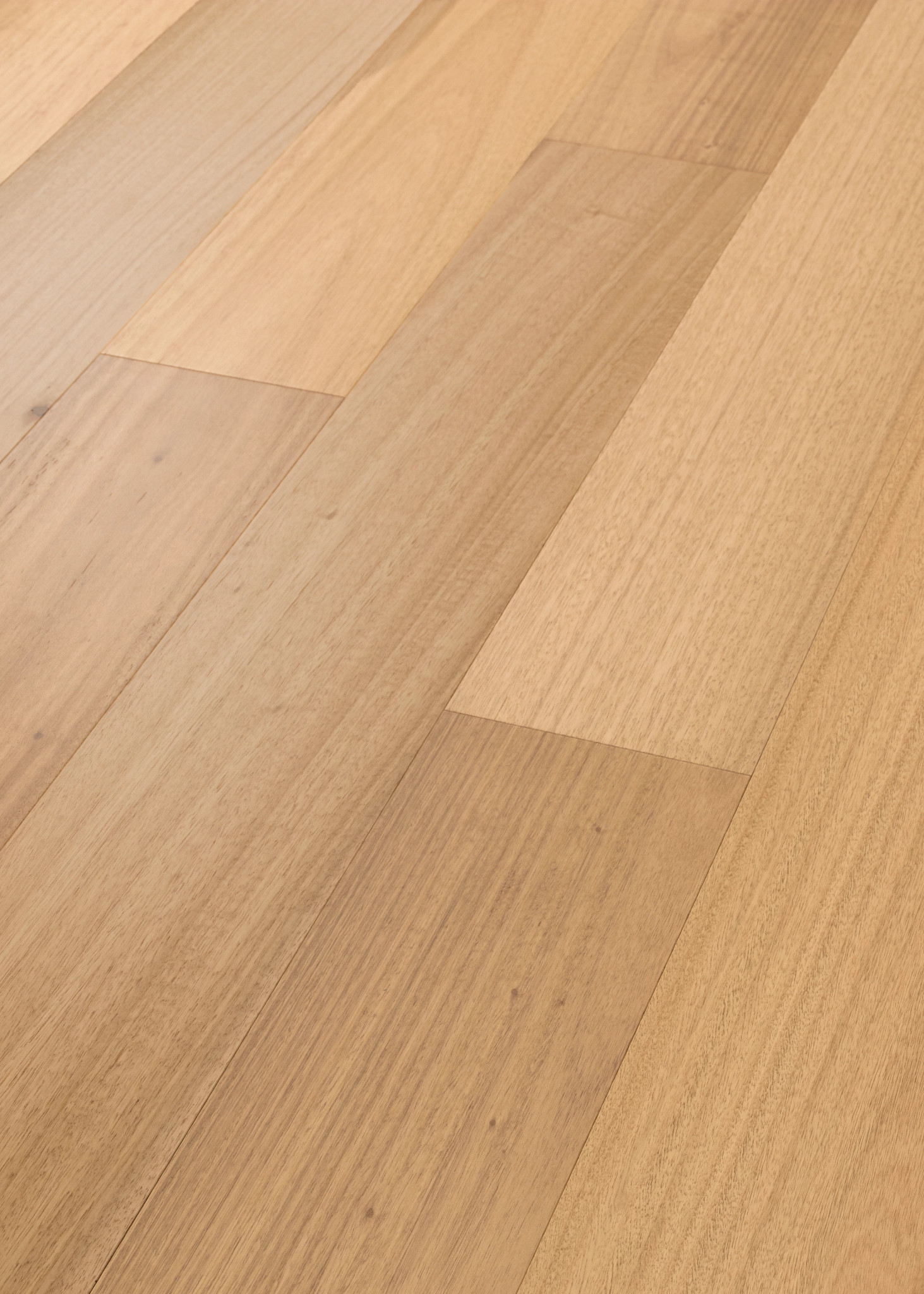 BRIDGEWATER EUCALYPTUS SUNDRIFT ANGLED