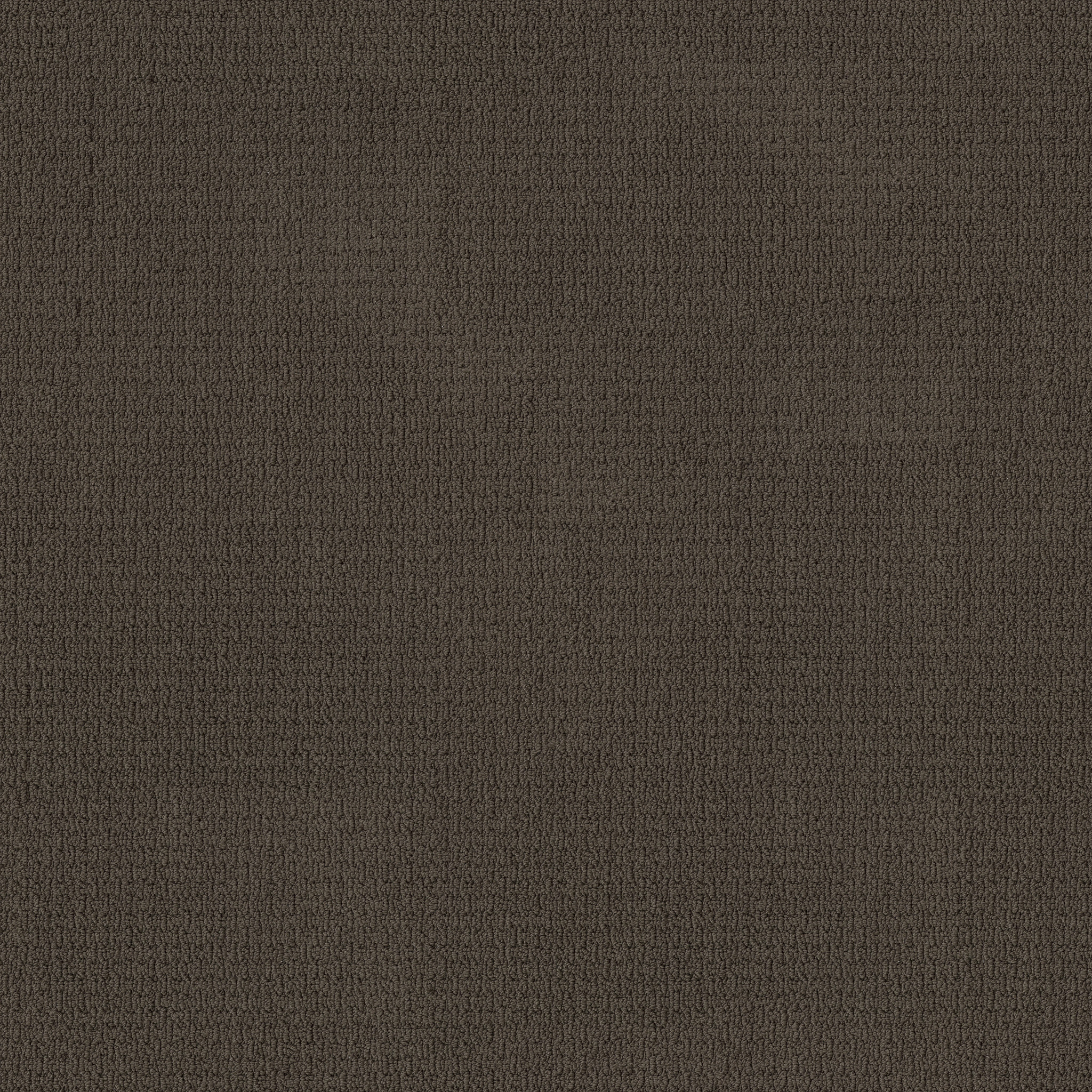 Casual Life - 100% ANSO® Nylon in Tiger Eye | AndersonTuftex