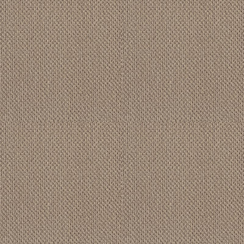 Artist View Loop EA566