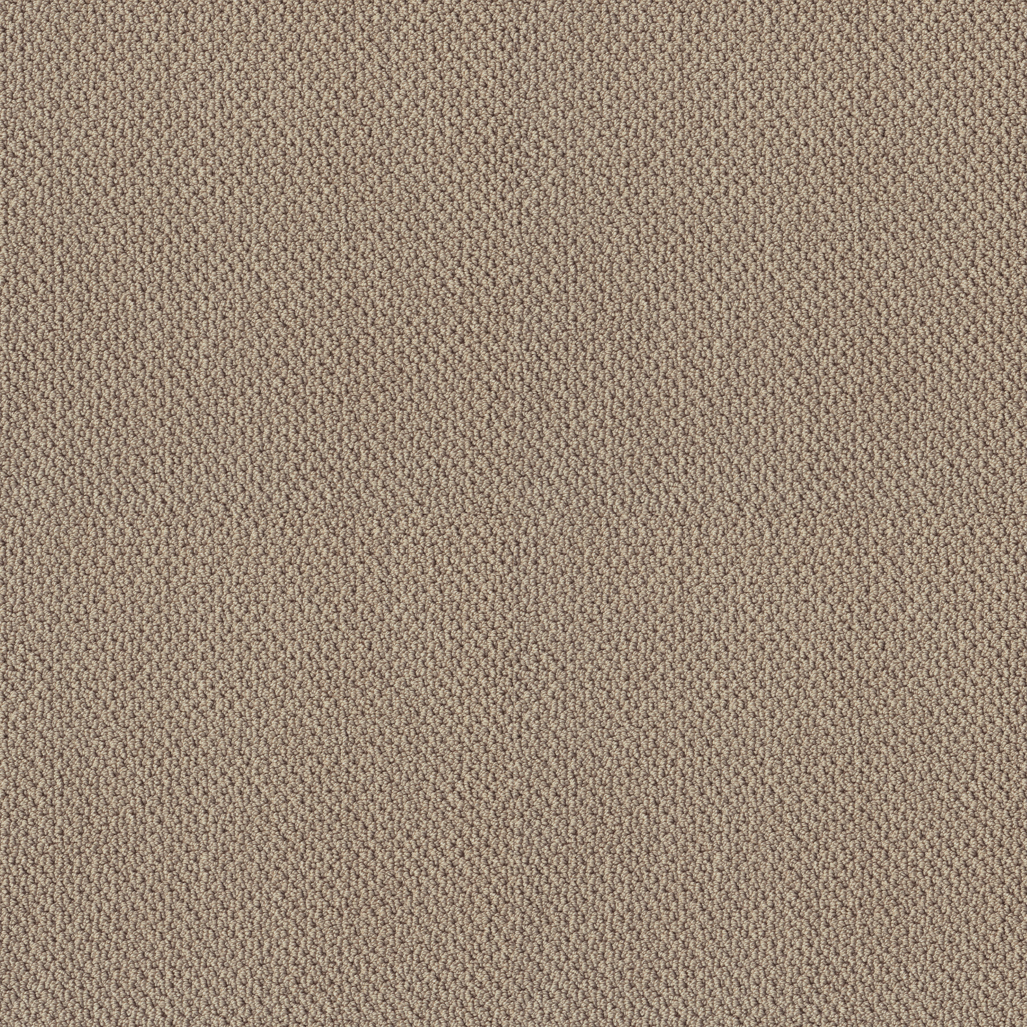 ARTIST VIEW LOOP LATTÉ MAIN