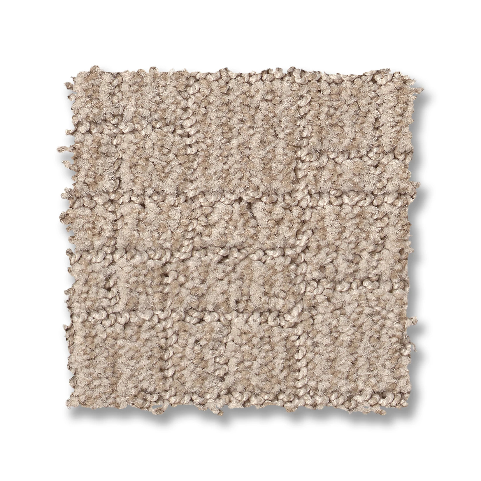 WAYFARER SUNLIGHT SWATCH