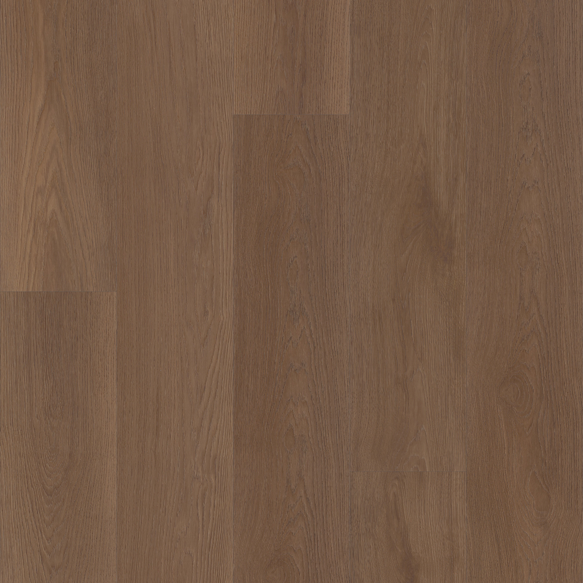 Ascent Nb - in Legend | Shaw Floors