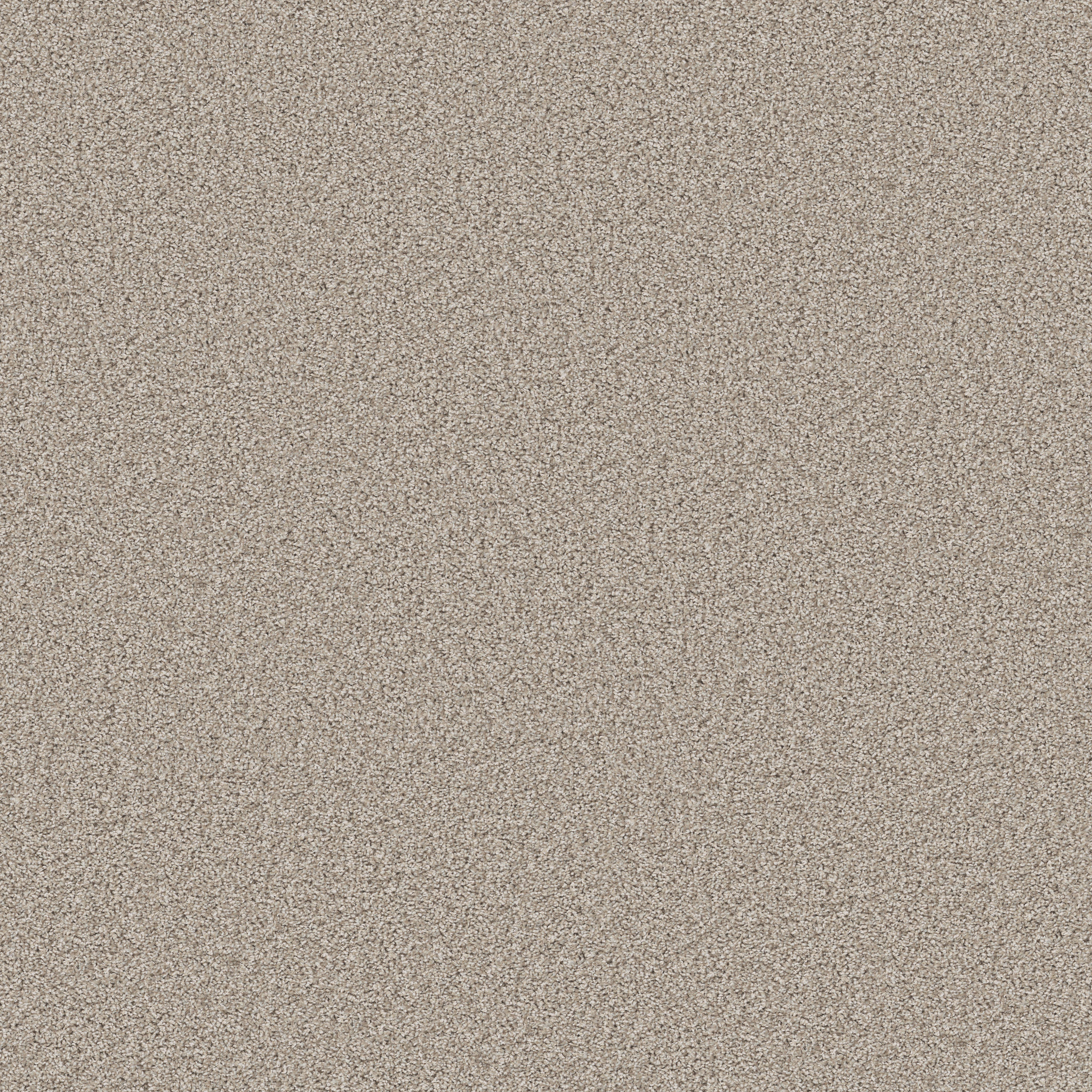 AGILITY MAGNOLIA BLOOM MAIN