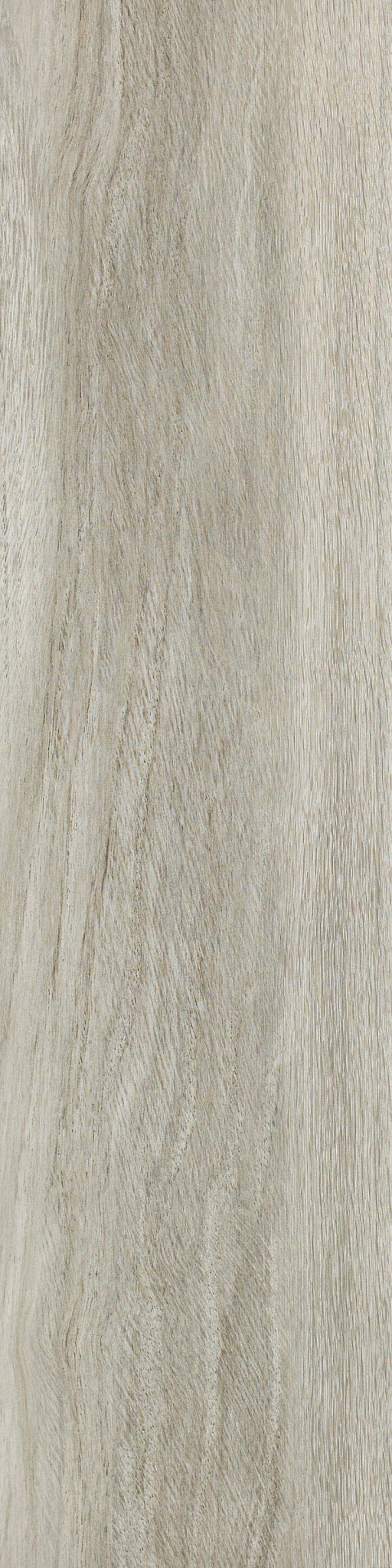 VALENTINO 8X32 CS48P - 00500 | Shaw Floors VALENTINO 8X32 CS48P - 00500 | Shaw Floors