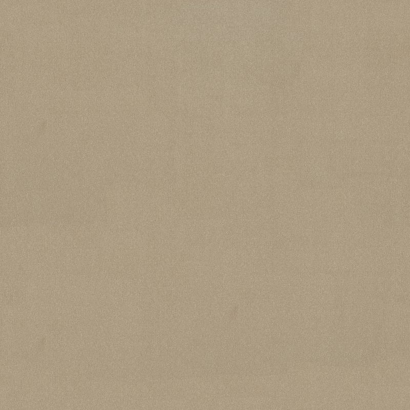 Emphatic II 36 Broadloom Carpet in Cajun color, 12ft wide, made of 100% nylon material