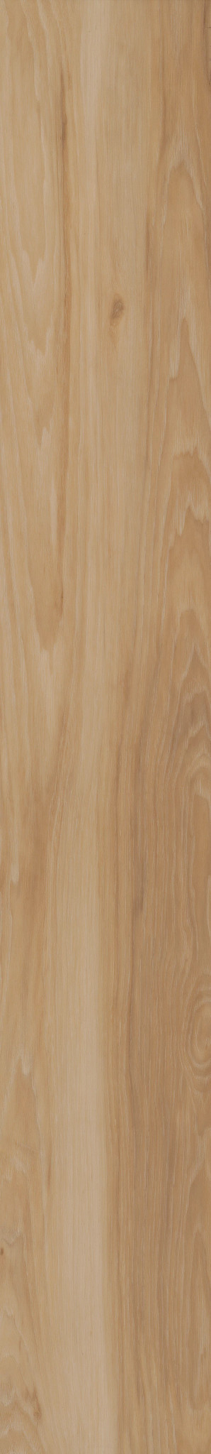 BLENDED PRALINE 1TO1