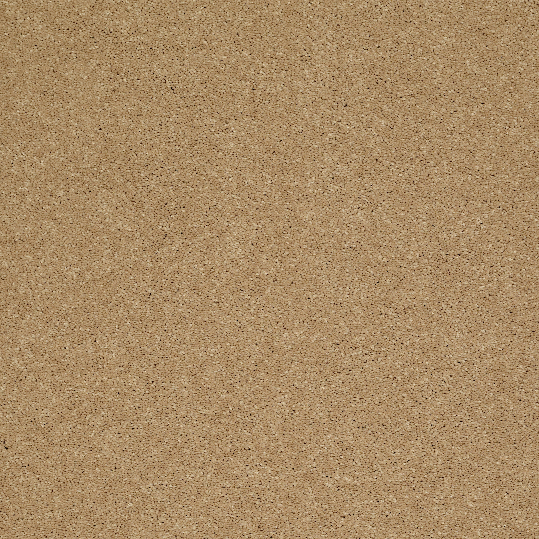 SHINGLE CREEK II 12' CORK MAIN