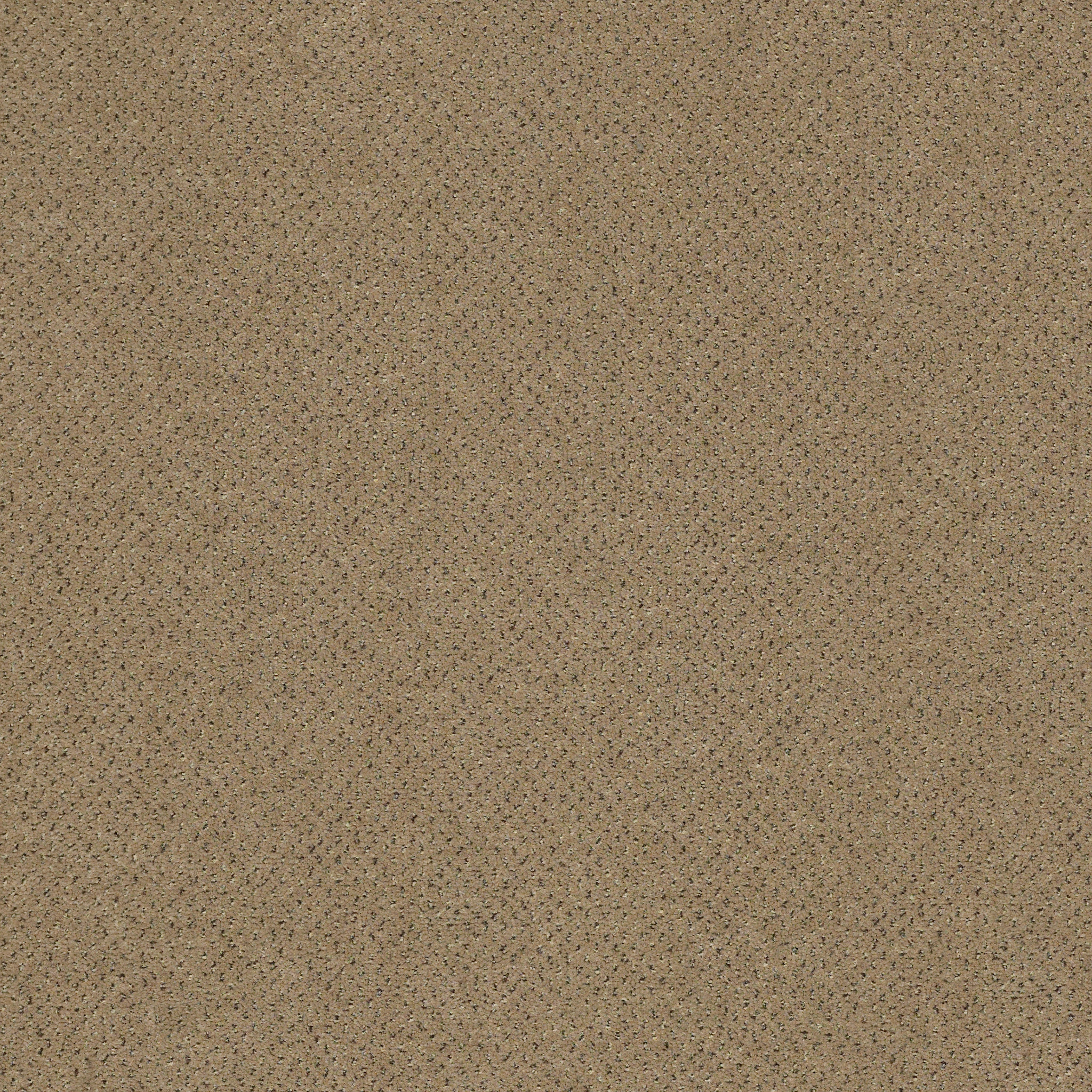 FUTURE-GENERATIONS-54644-GEN-Y-44103-main-image