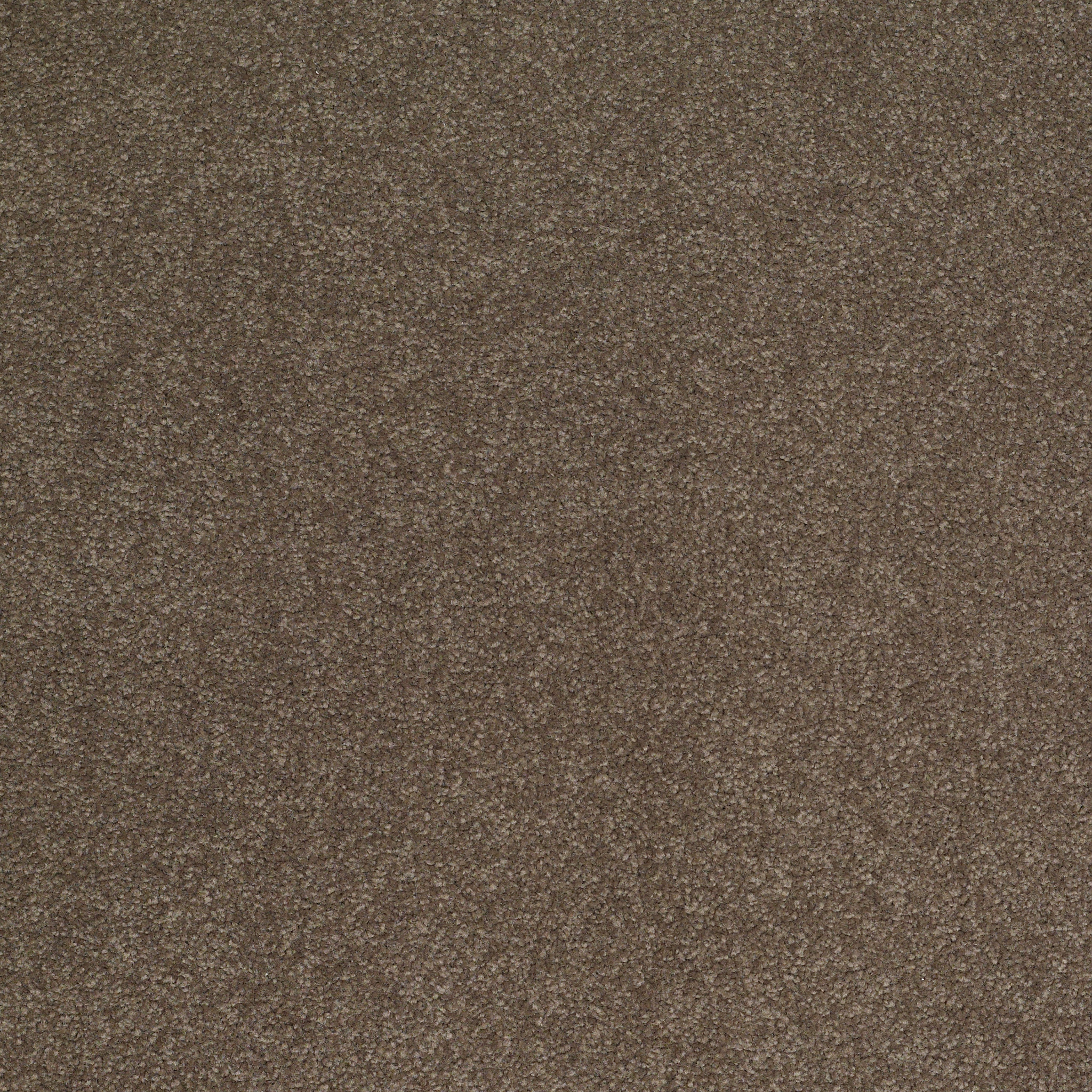 SHINGLE CREEK III 12' CASTLE ROCK MAIN