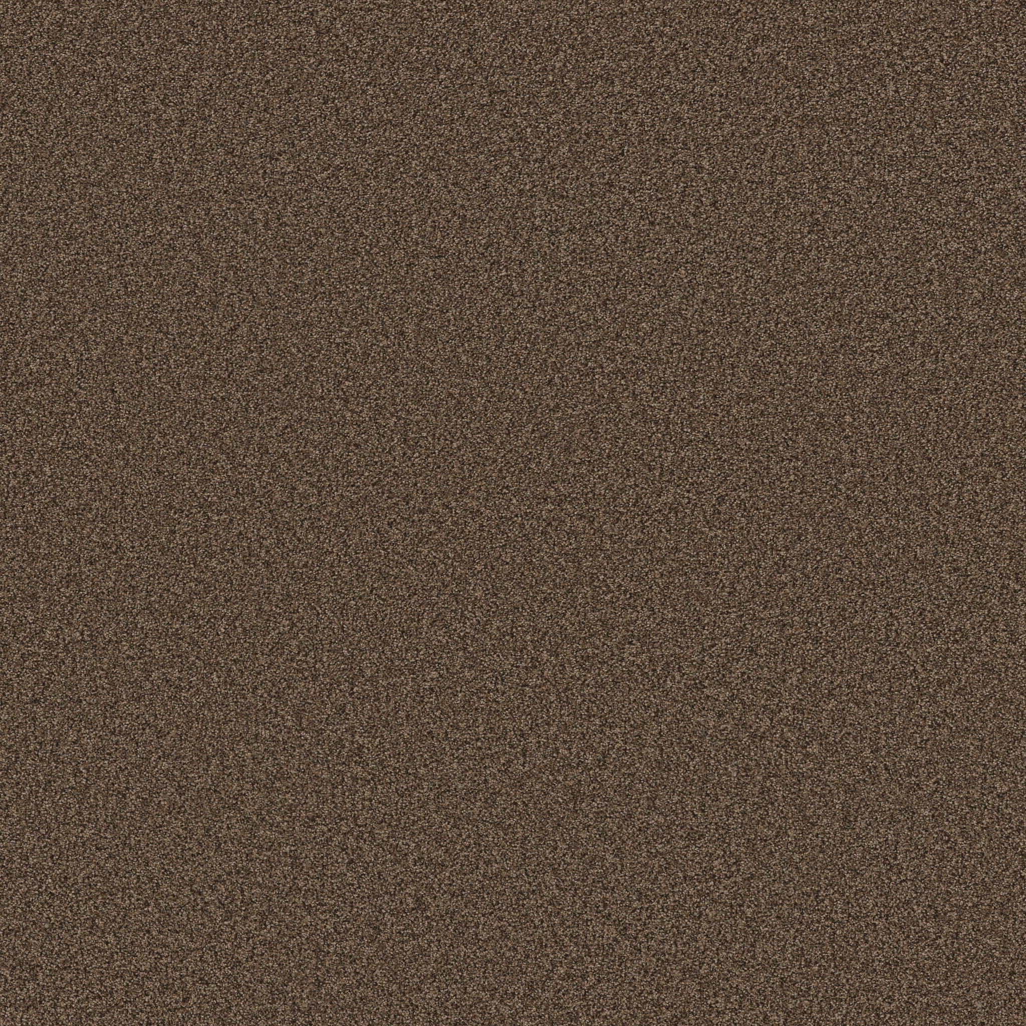 Find your comfort I - Tonal CHOCOLATE TREAT MAIN