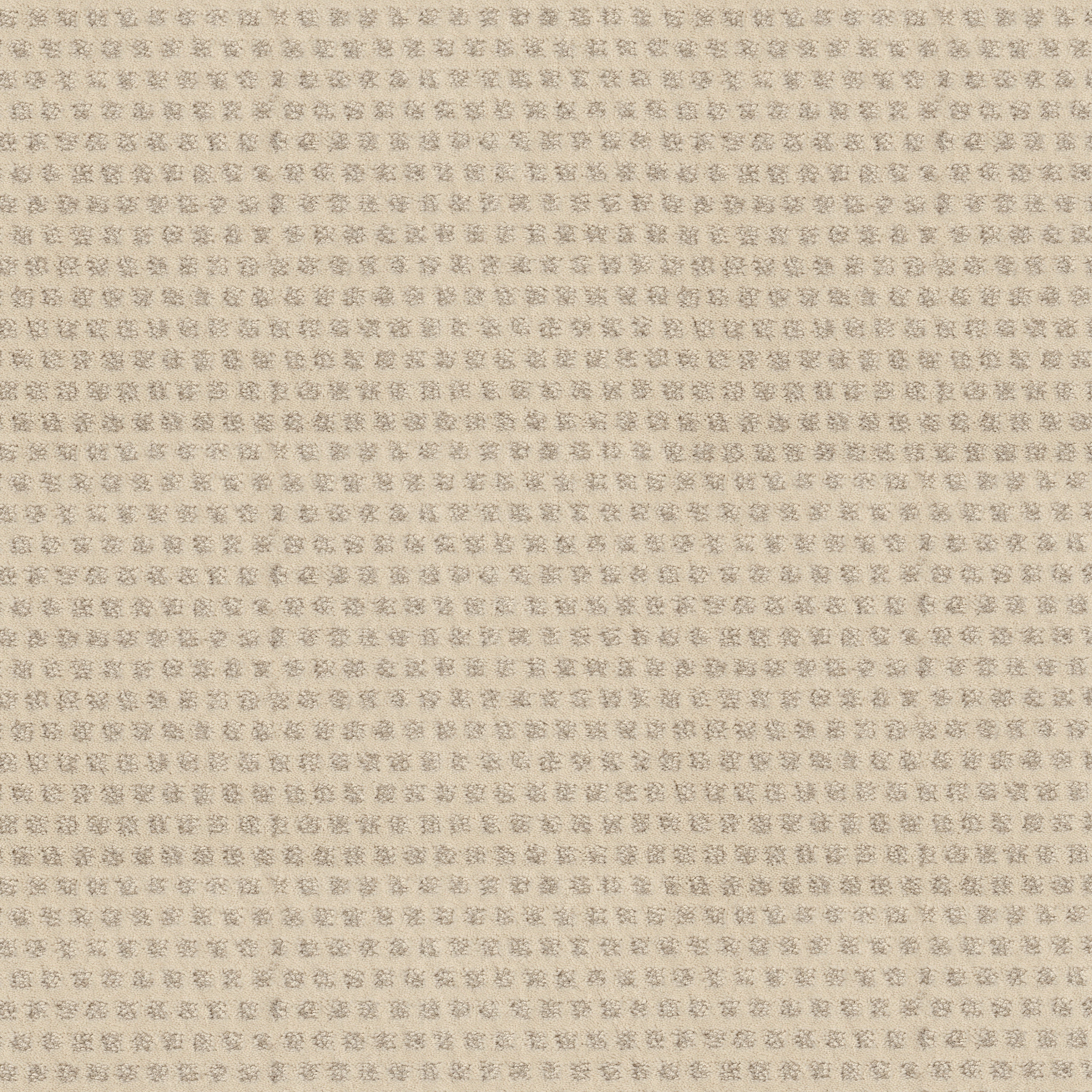 THE ARTS SOFT FLEECE MAIN