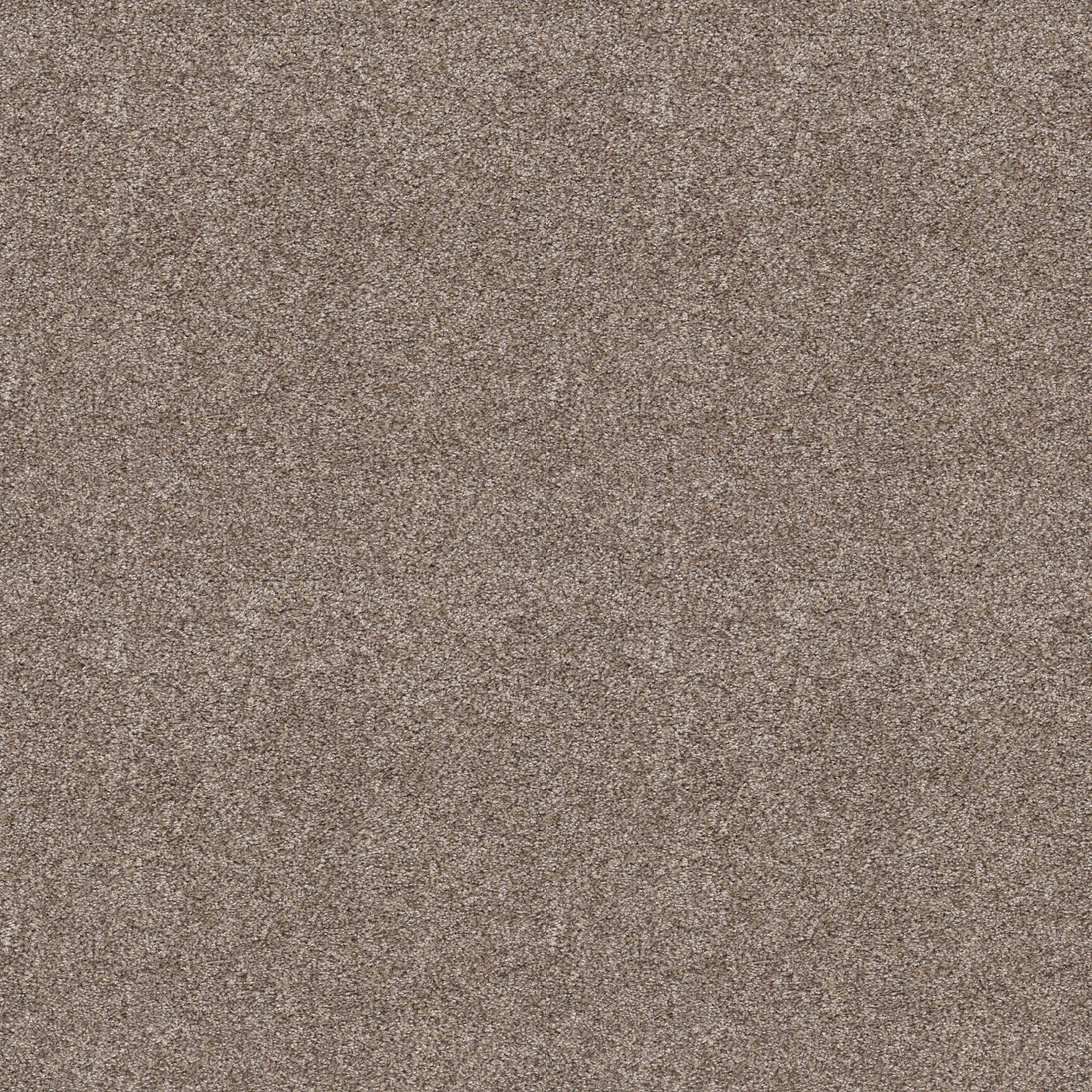 All Set II by Shaw Floors