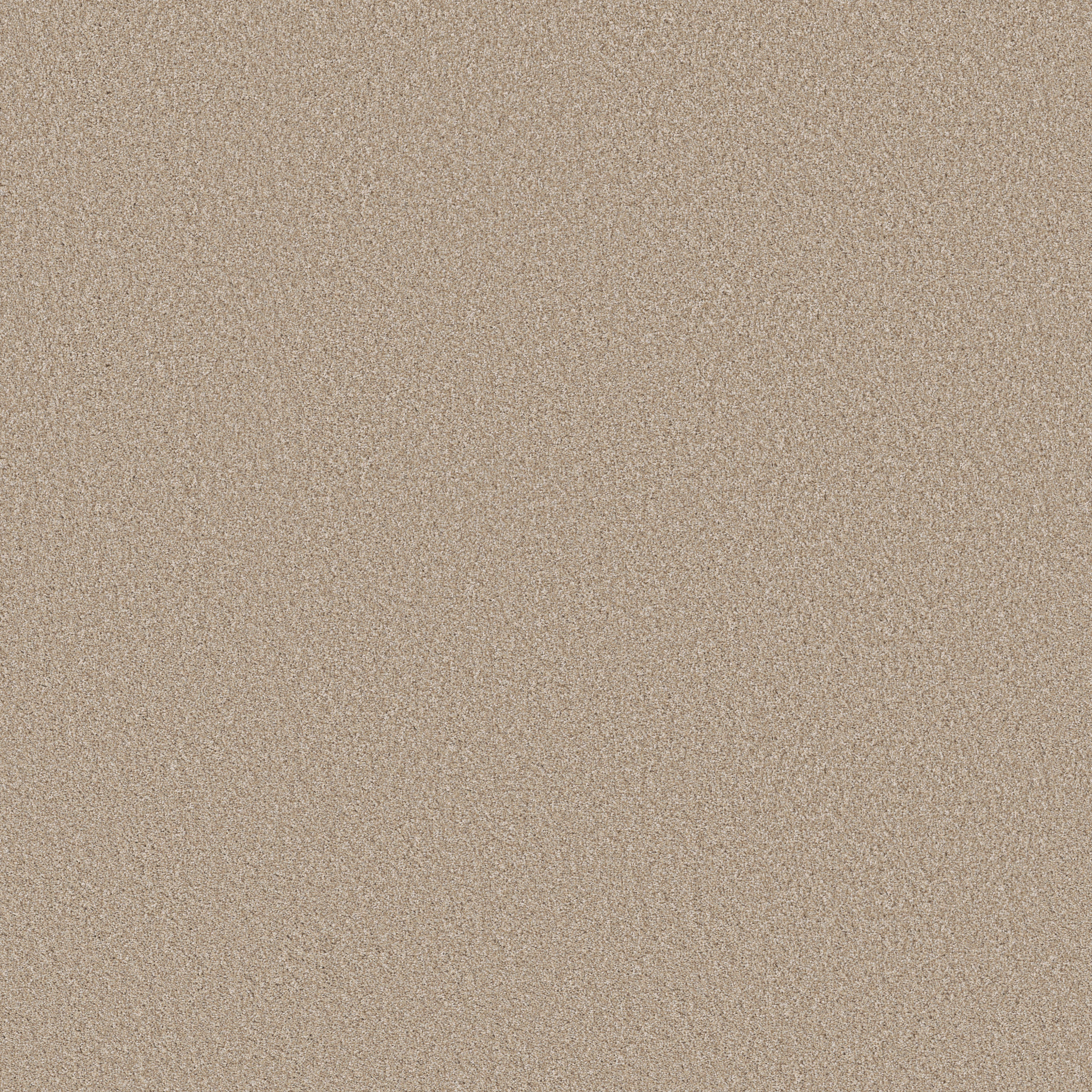 IMAGINABLE II LATTE MAIN