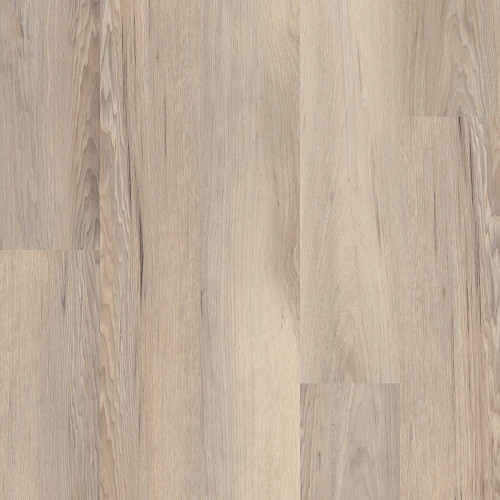 Venture Chestnut