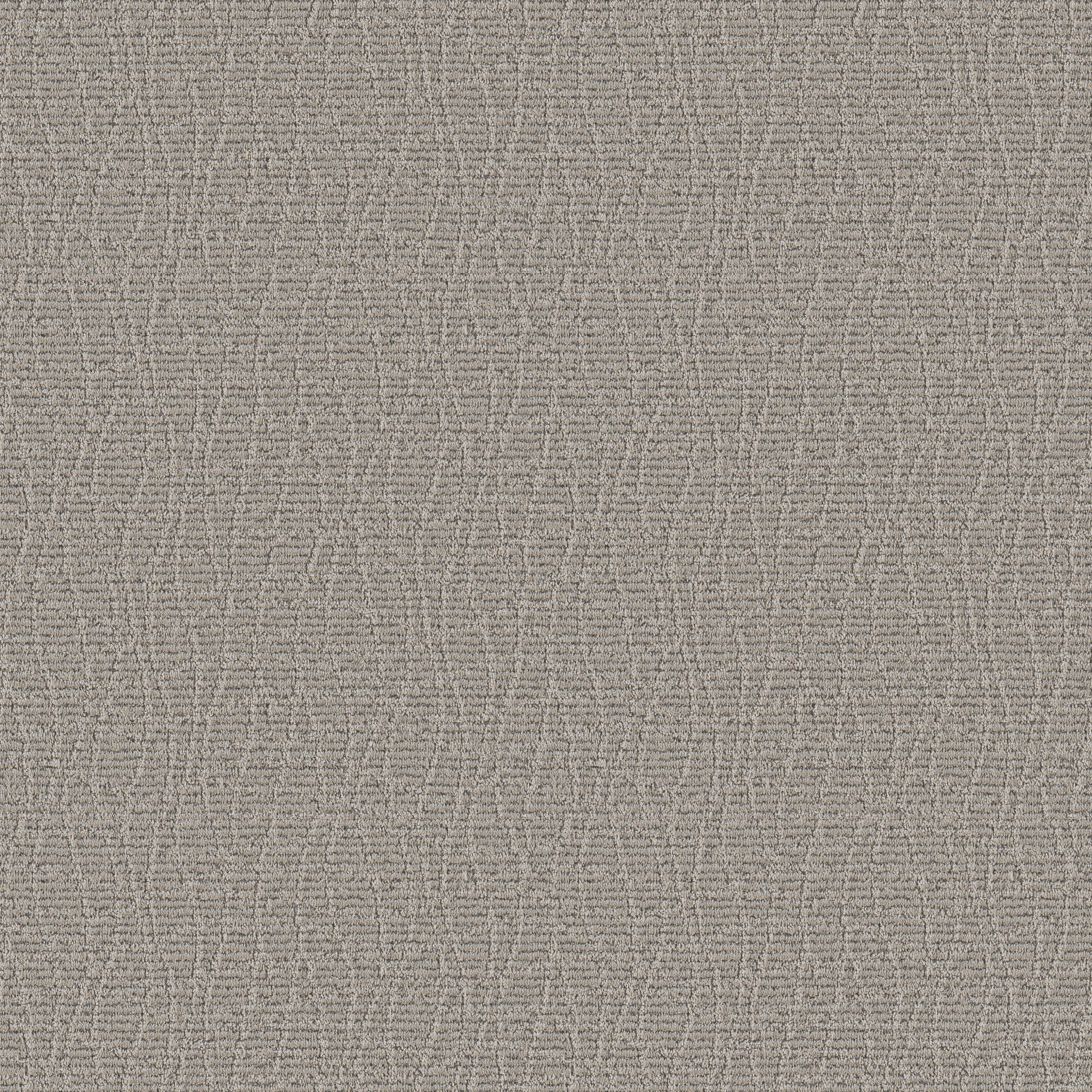 CHIT CHAT NIGHTINGALE MAIN