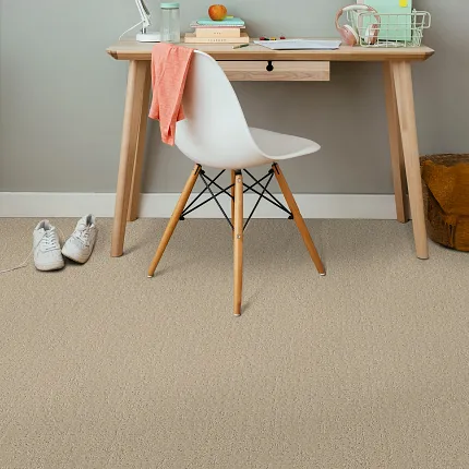 Beige carpet flooring in a comfortable home office setting Cozy home office with beige carpet flooring