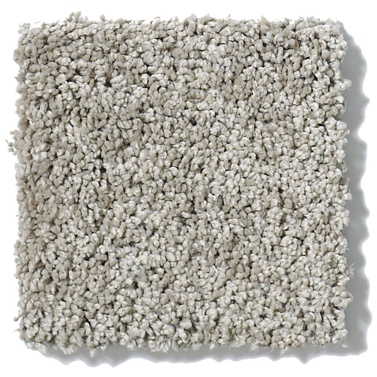 WHY NOT ME STEELE BLUE SWATCH