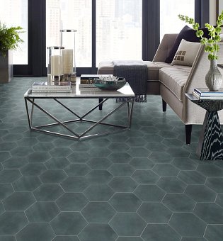 living room with hexagonal tile & stone flooring