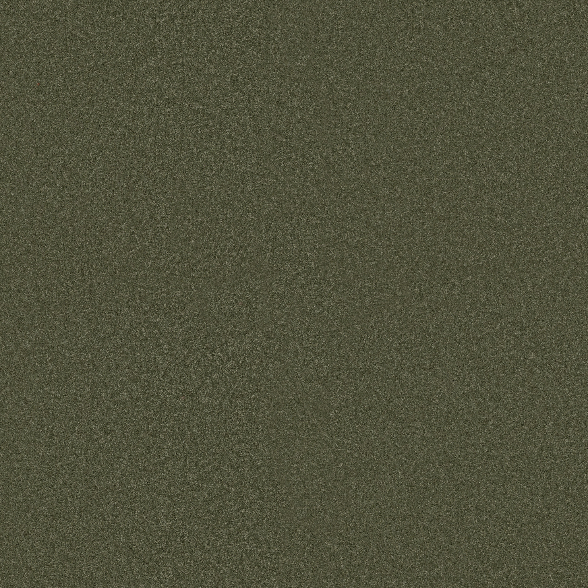 ULTIMATE EXPRESSION 15' ALPINE FERN MAIN