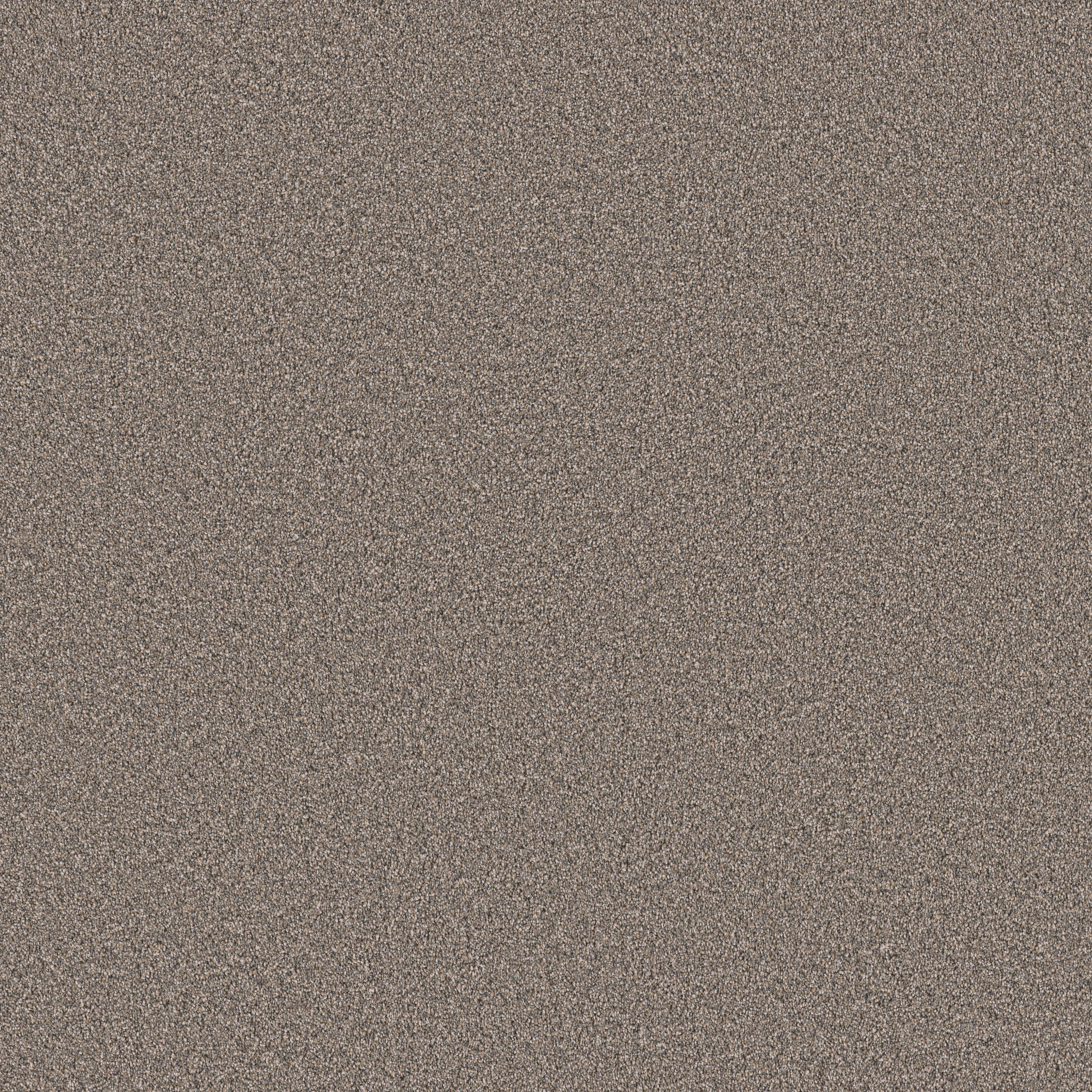 GRAND INFLUENCE III CASTLE ROCK MAIN