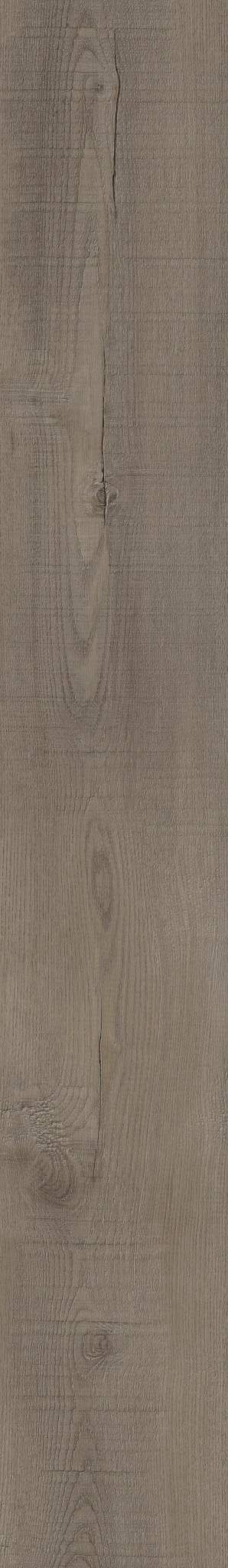 Laguna Oak