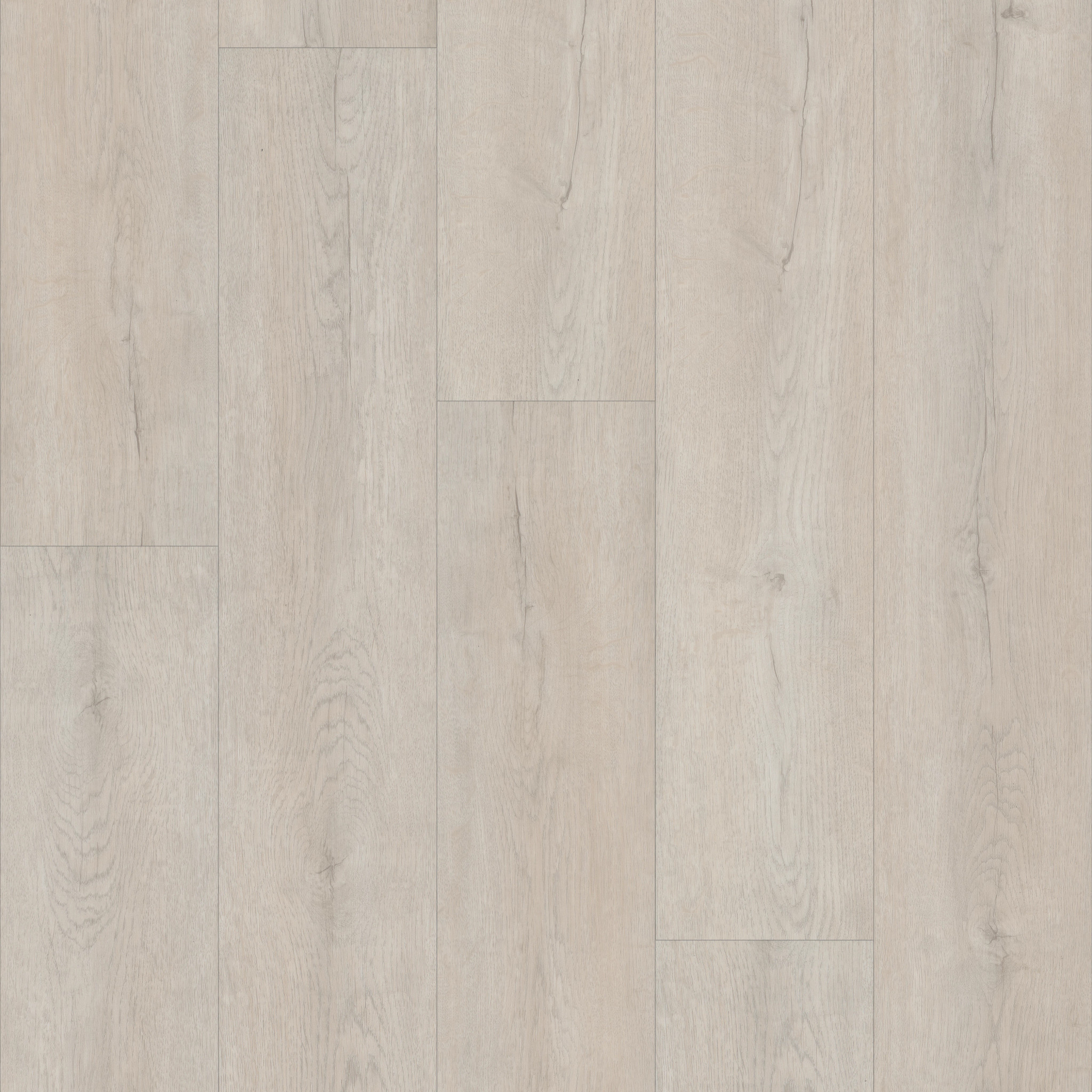 DISTINCTION PLUS MISTY GREY MAIN