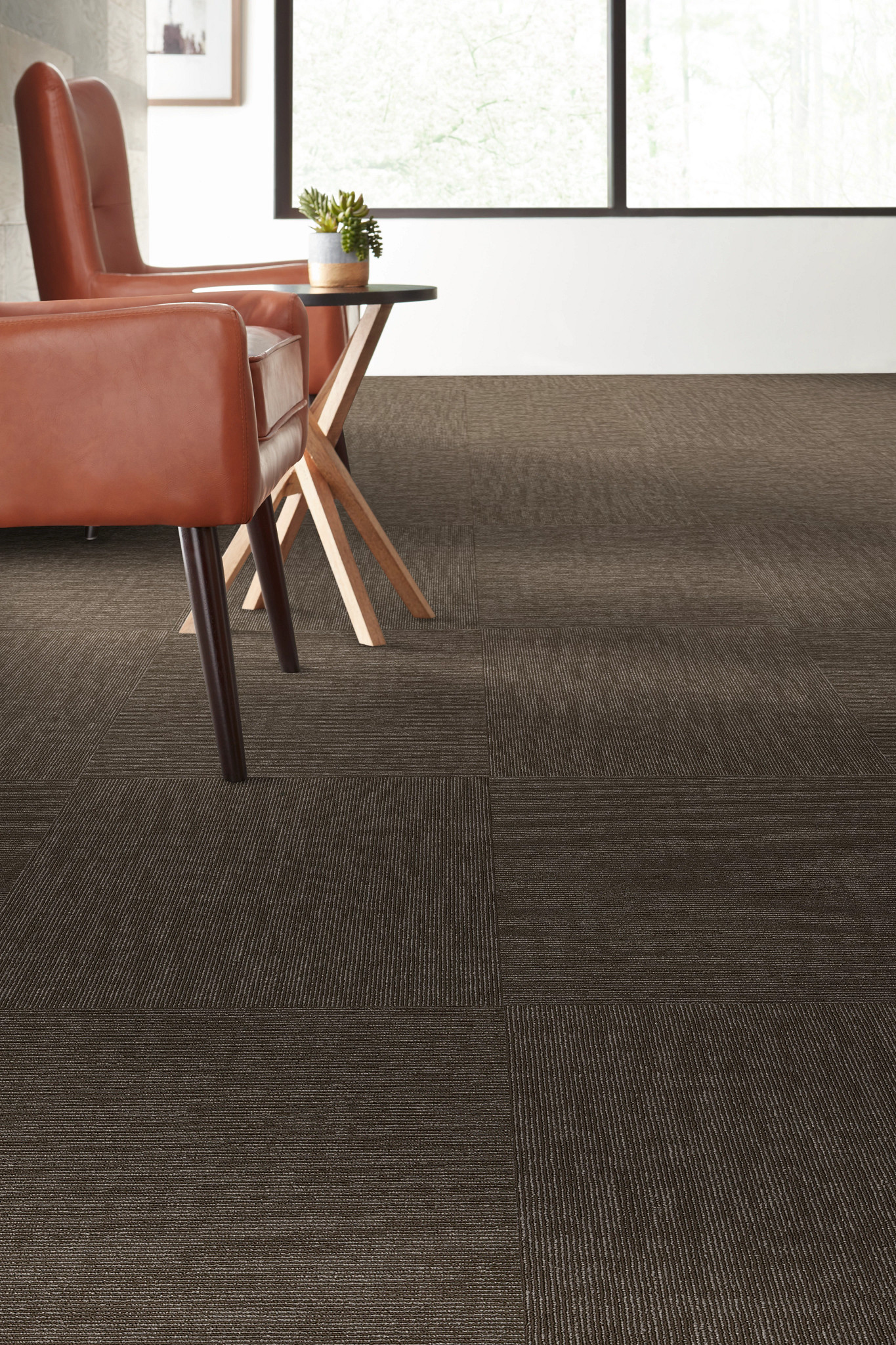 SEMBLANCE-54949-COMPARISON-00705-room-image