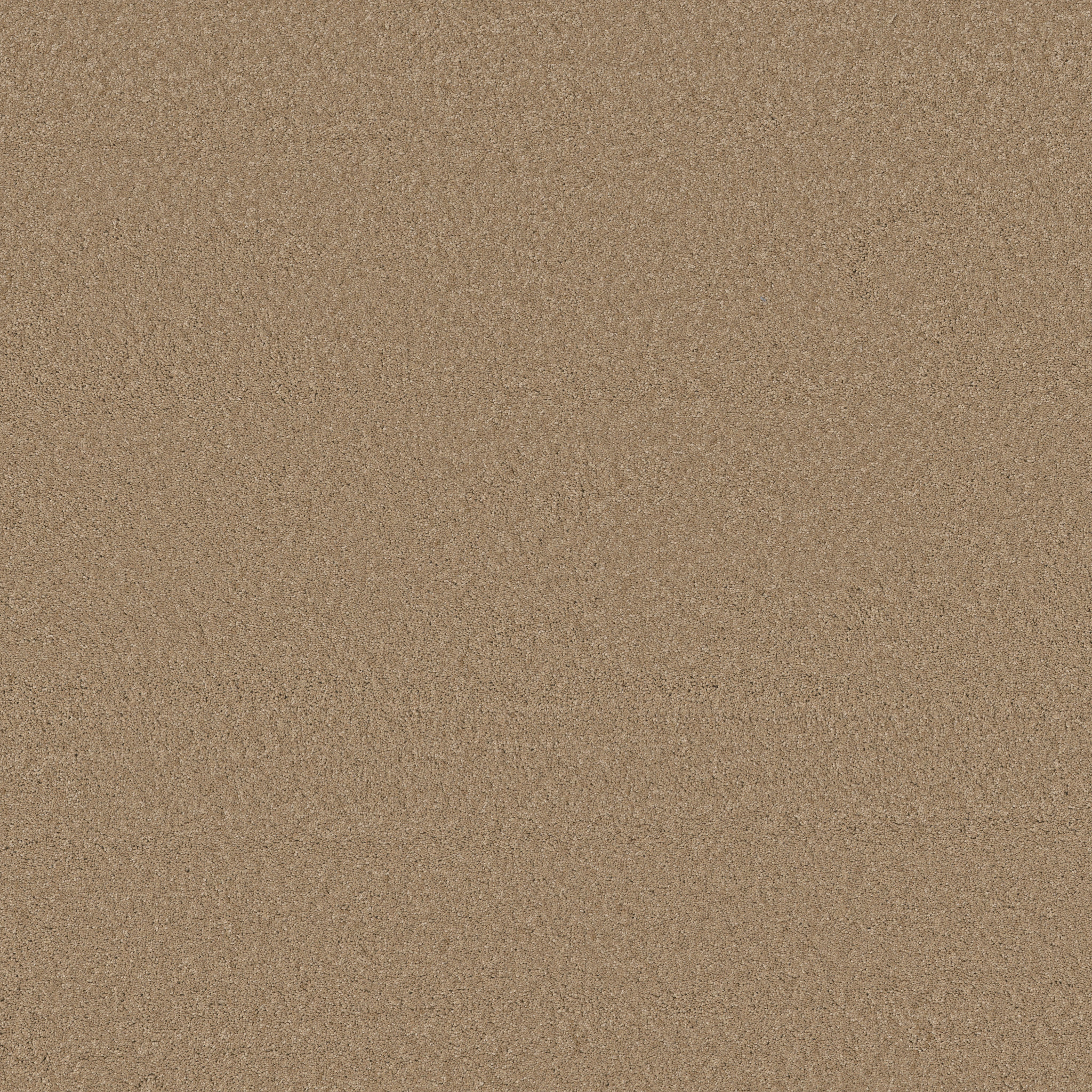 ENCHANTING NATURAL MAIN