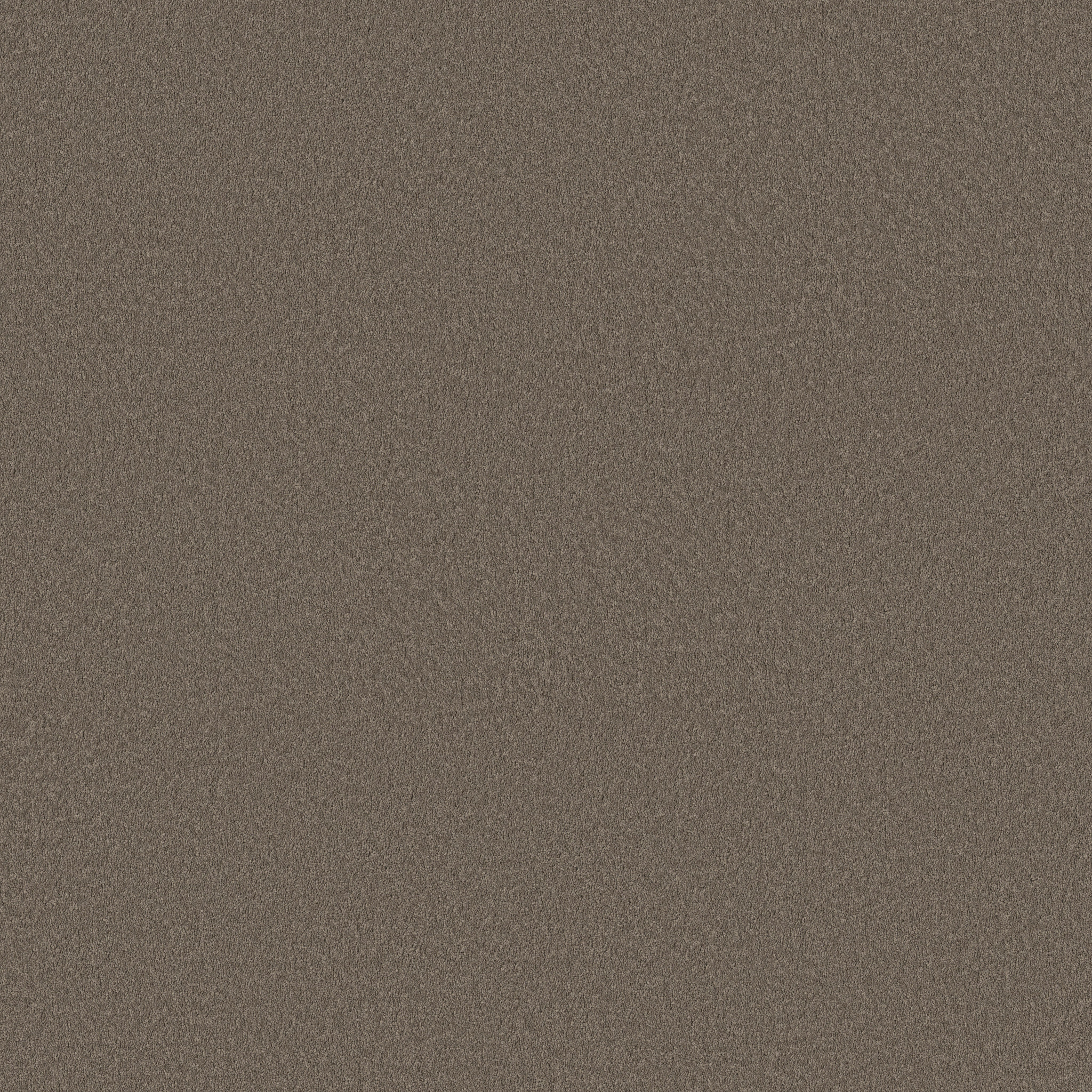 SMOOTH TONE RIDGELINE MAIN